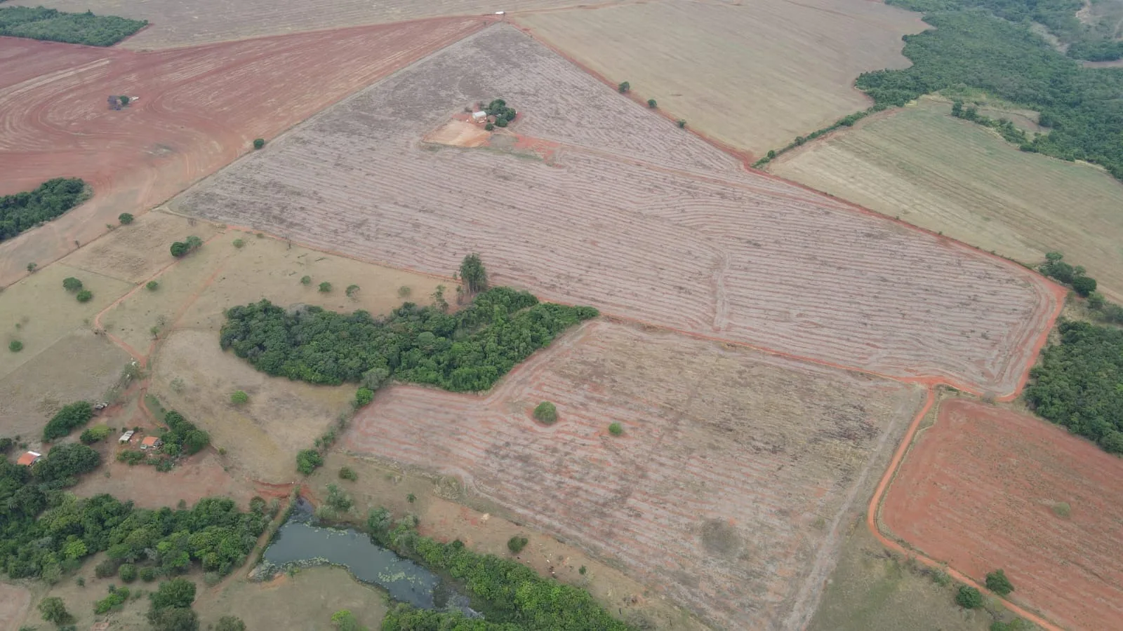 Fazenda Própria Para Café Em Coromandel