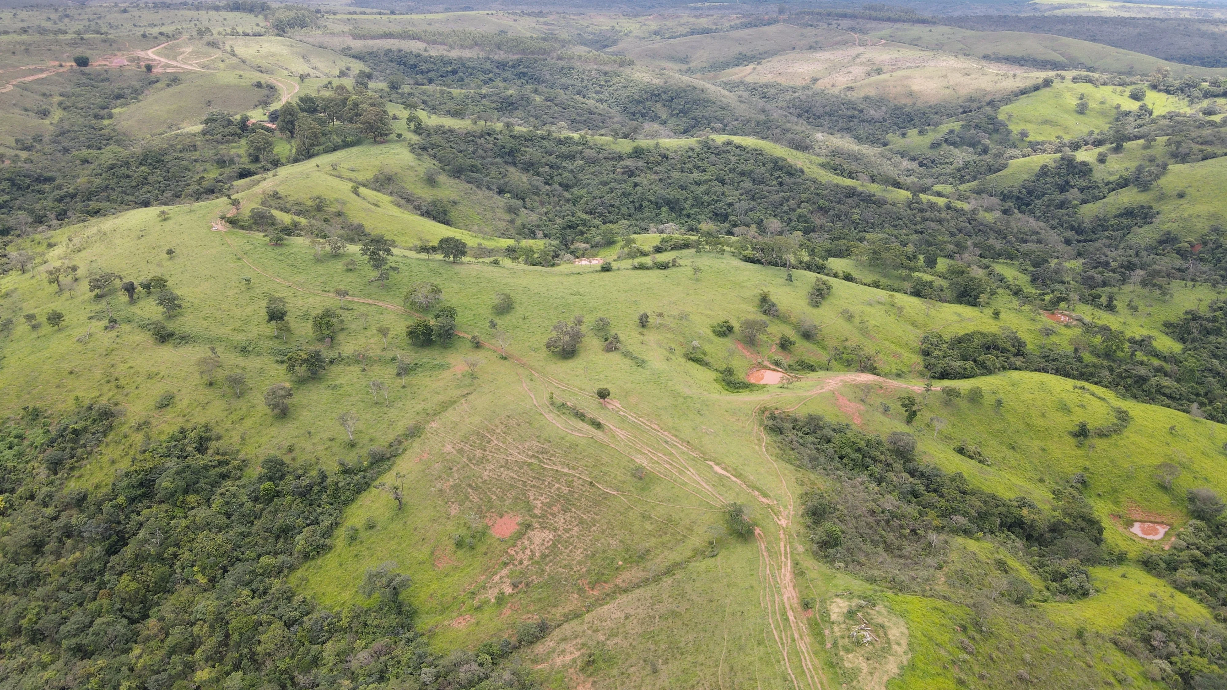 Excelente Fazenda Para Gado Na Região Do Pantano