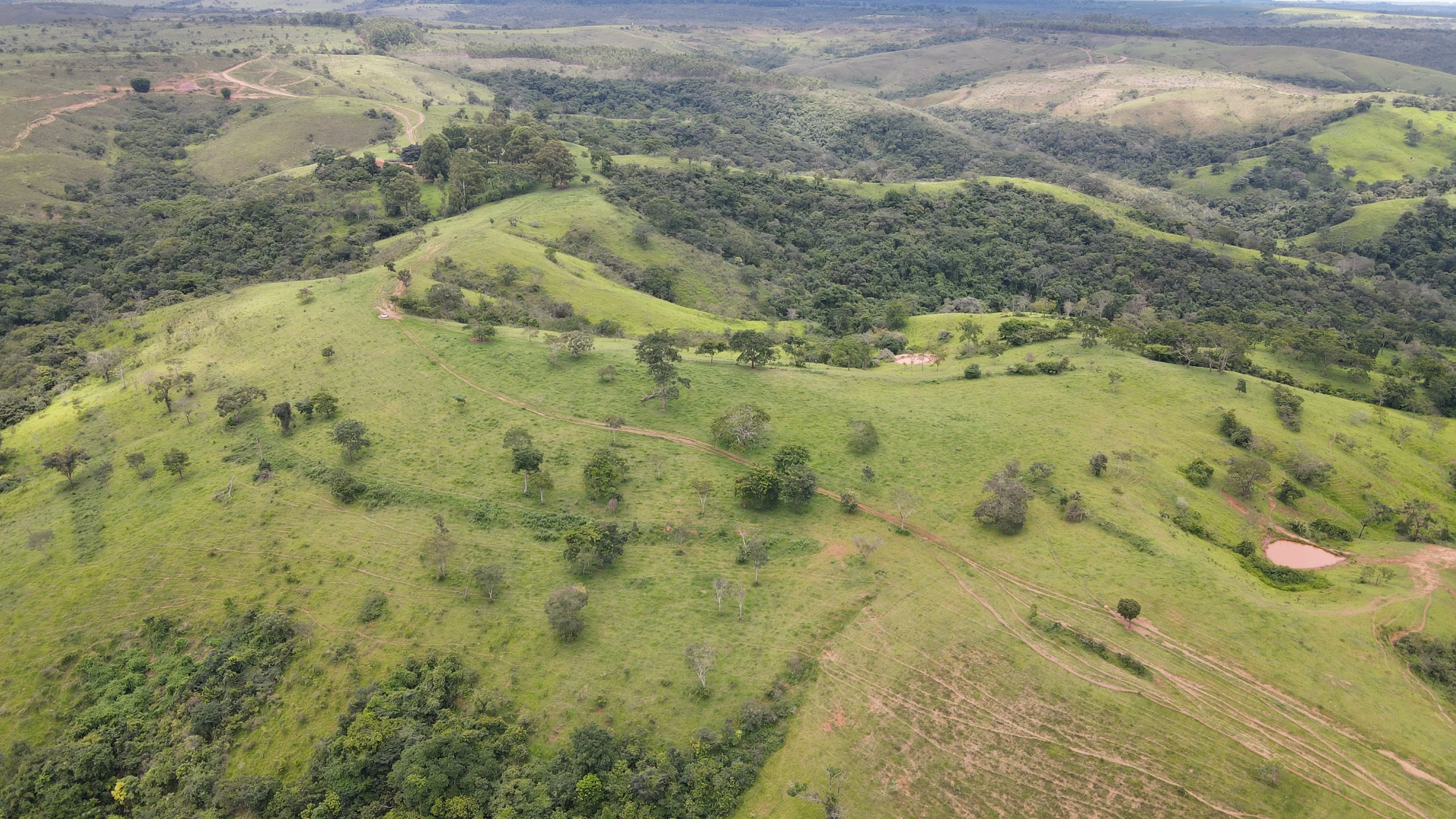 Excelente Fazenda Para Gado Na Região Do Pantano