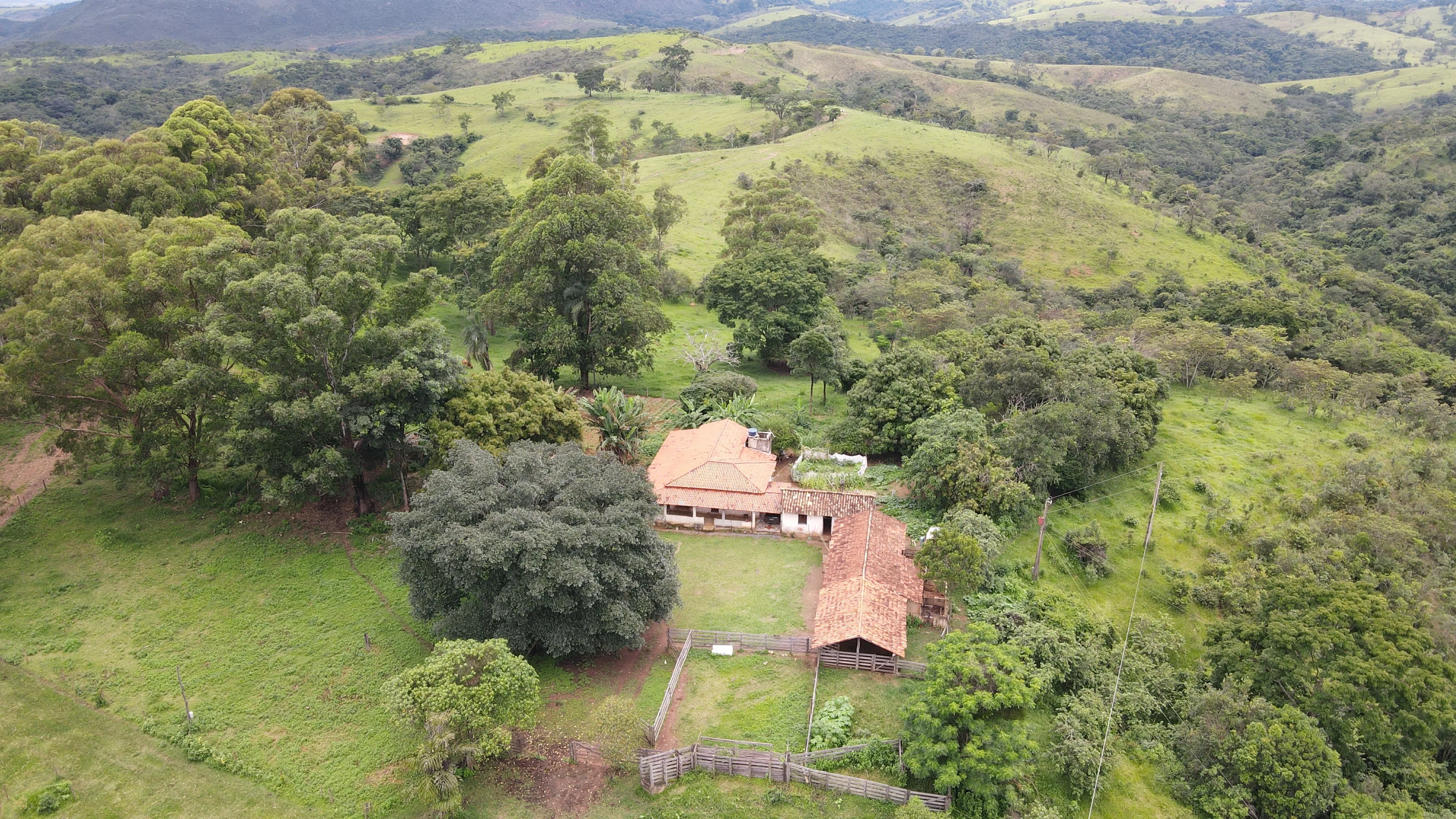 Excelente Fazenda Para Gado Na Região Do Pantano