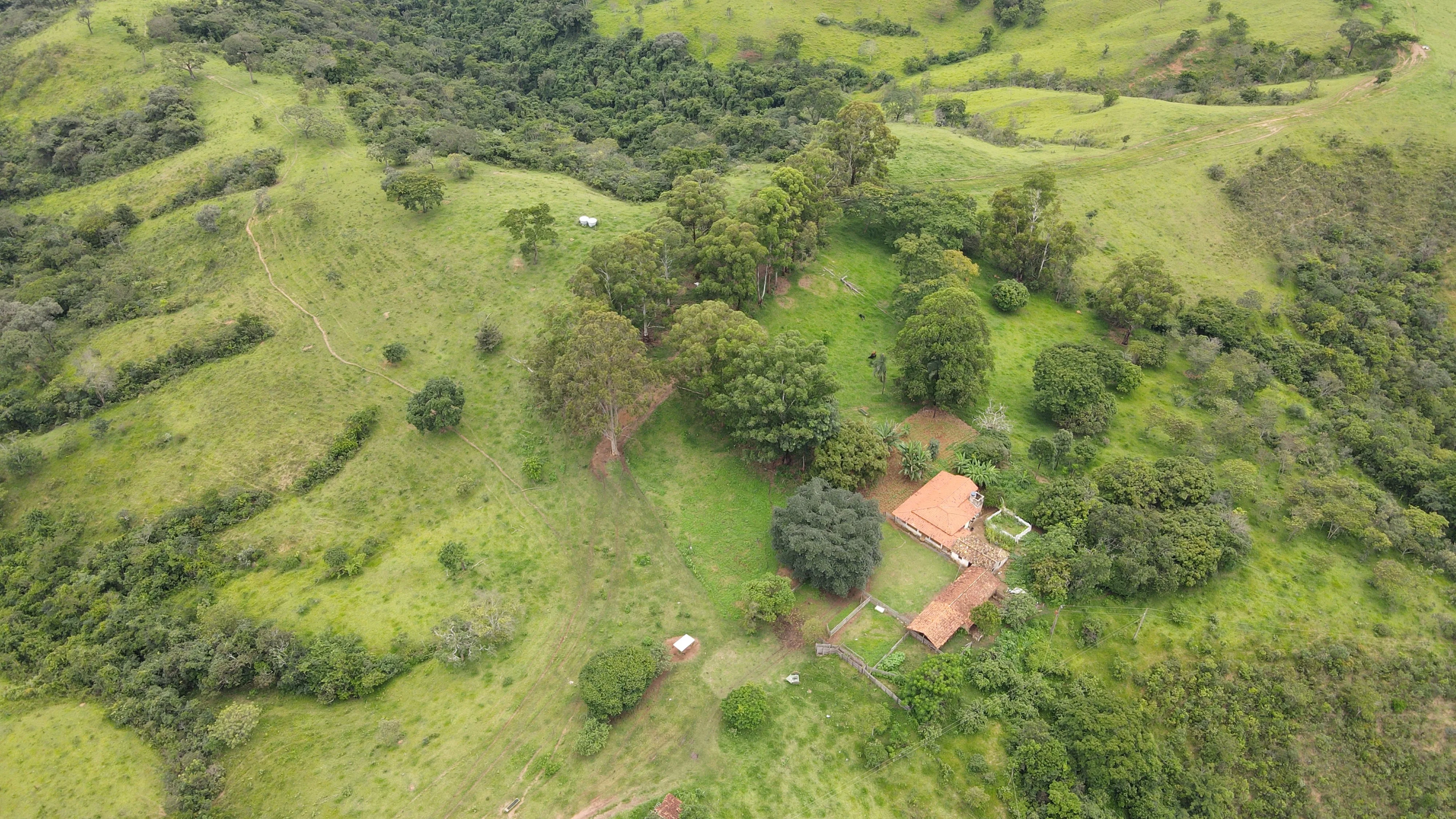 Excelente Fazenda Para Gado Na Região Do Pantano