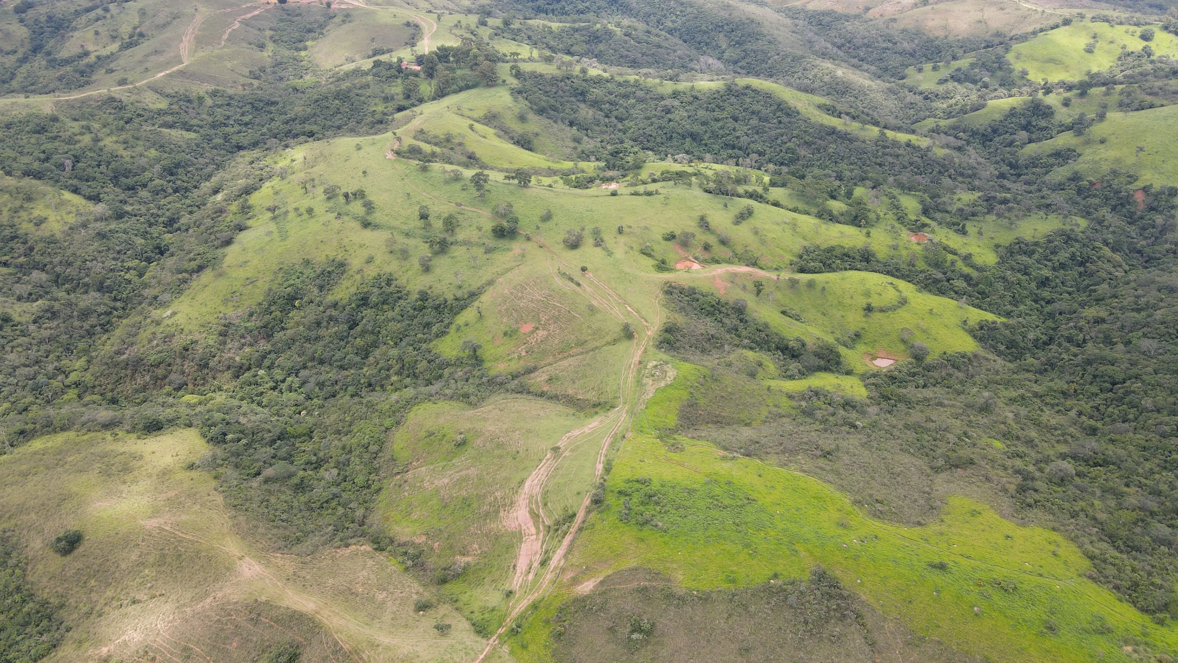 Excelente Fazenda Para Gado Na Região Do Pantano