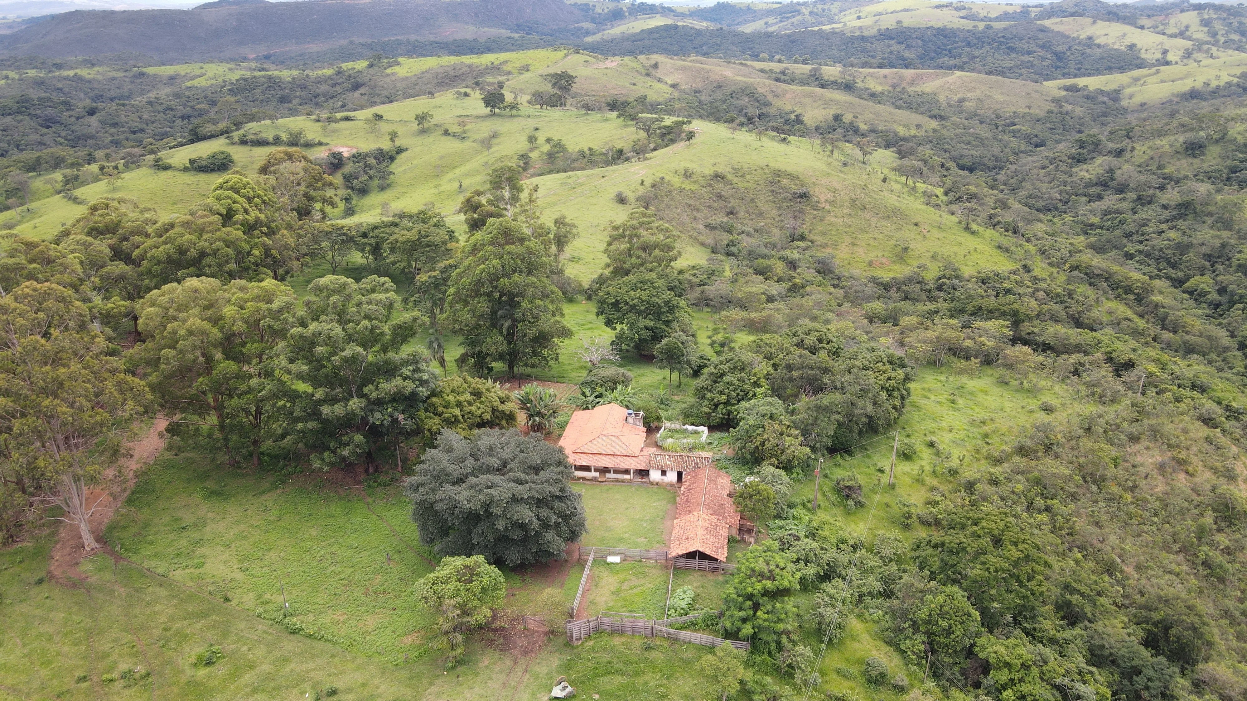 Excelente Fazenda Para Gado Na Região Do Pantano