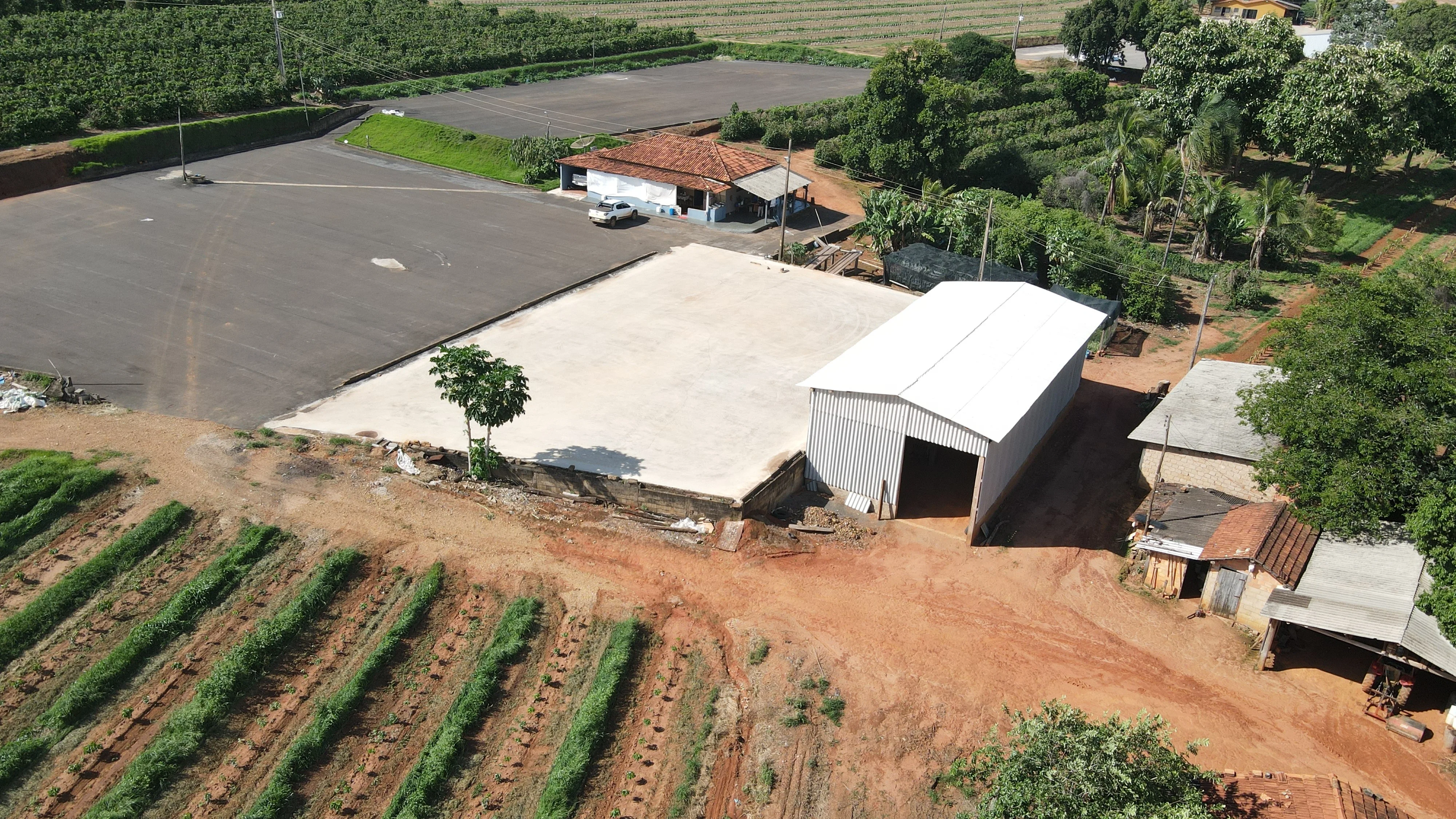Fazenda De Café Na Região De Macaúbas De Baixo