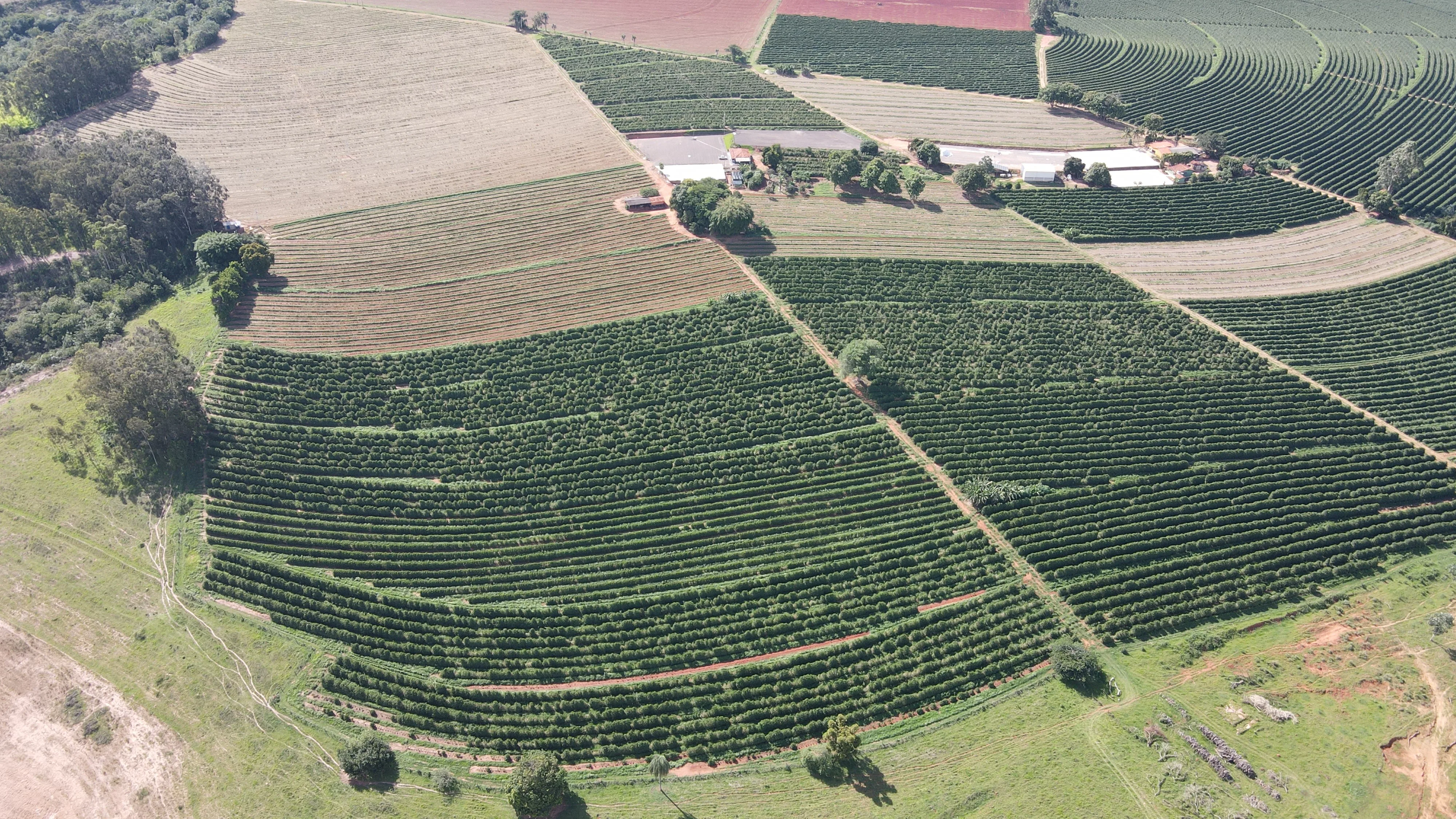 Fazenda De Café Na Região De Macaúbas De Baixo