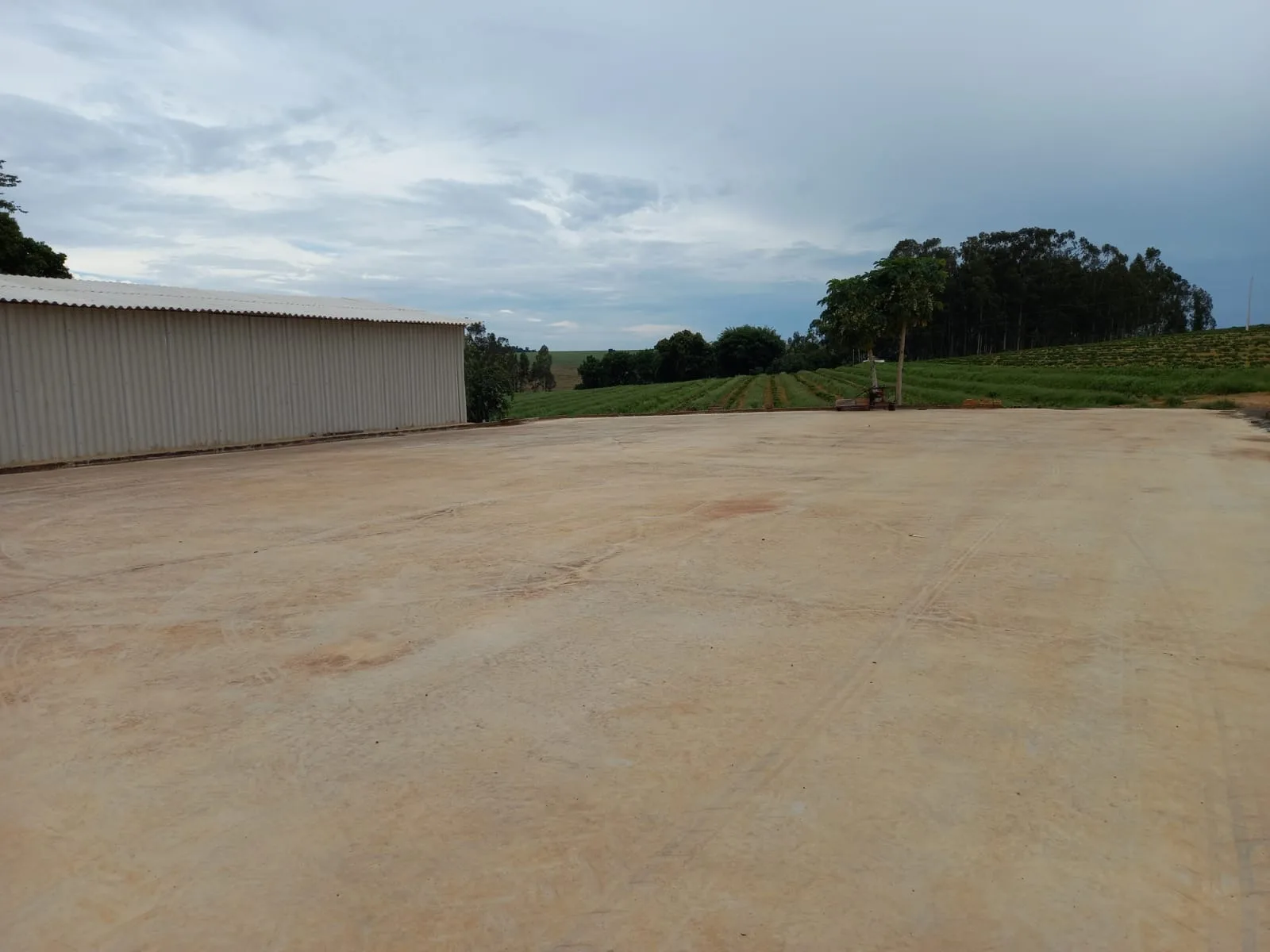 Fazenda De Café Na Região De Macaúbas De Baixo