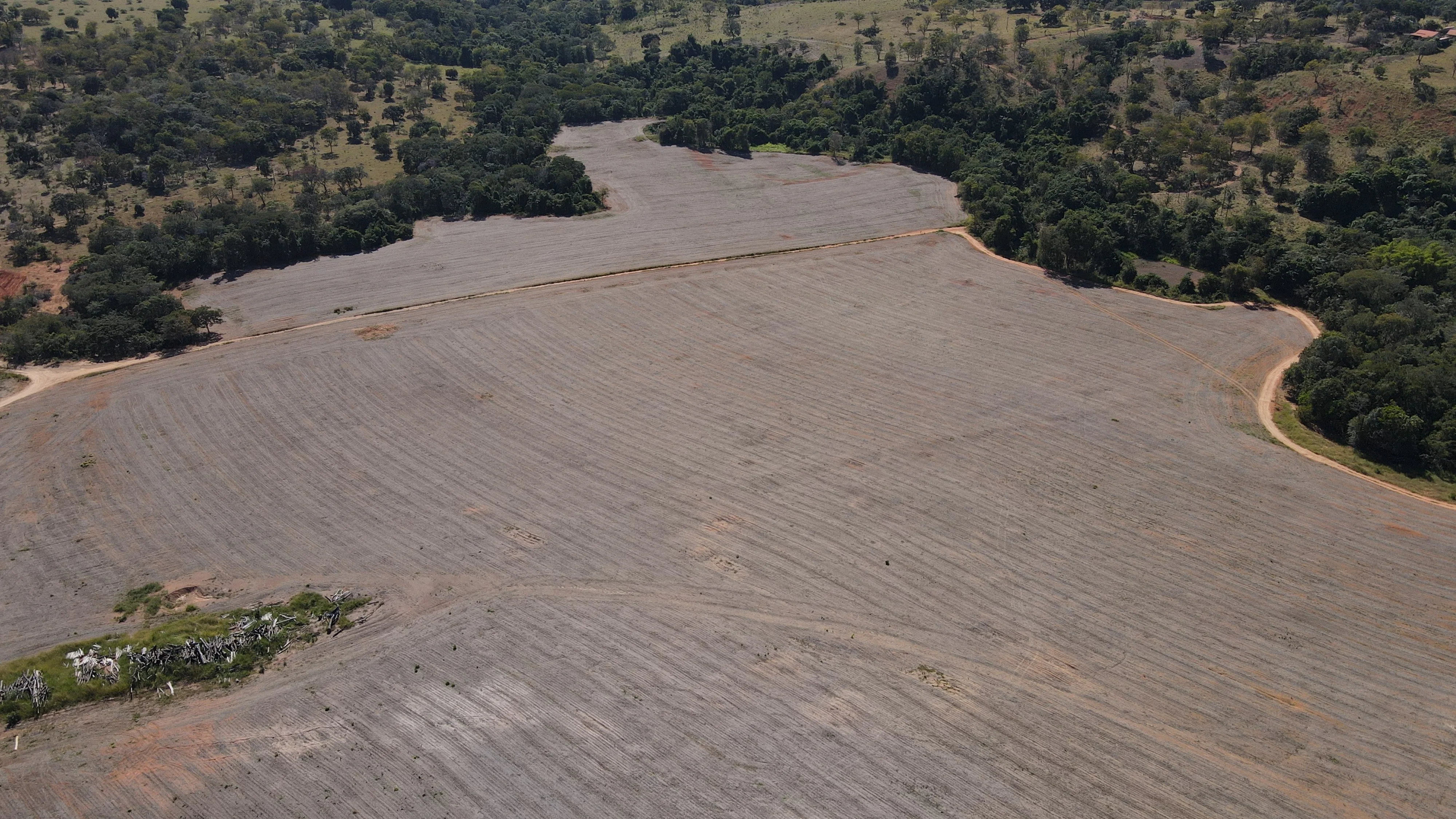 Fazenda De 202 Hectares Dupla Aptidão
