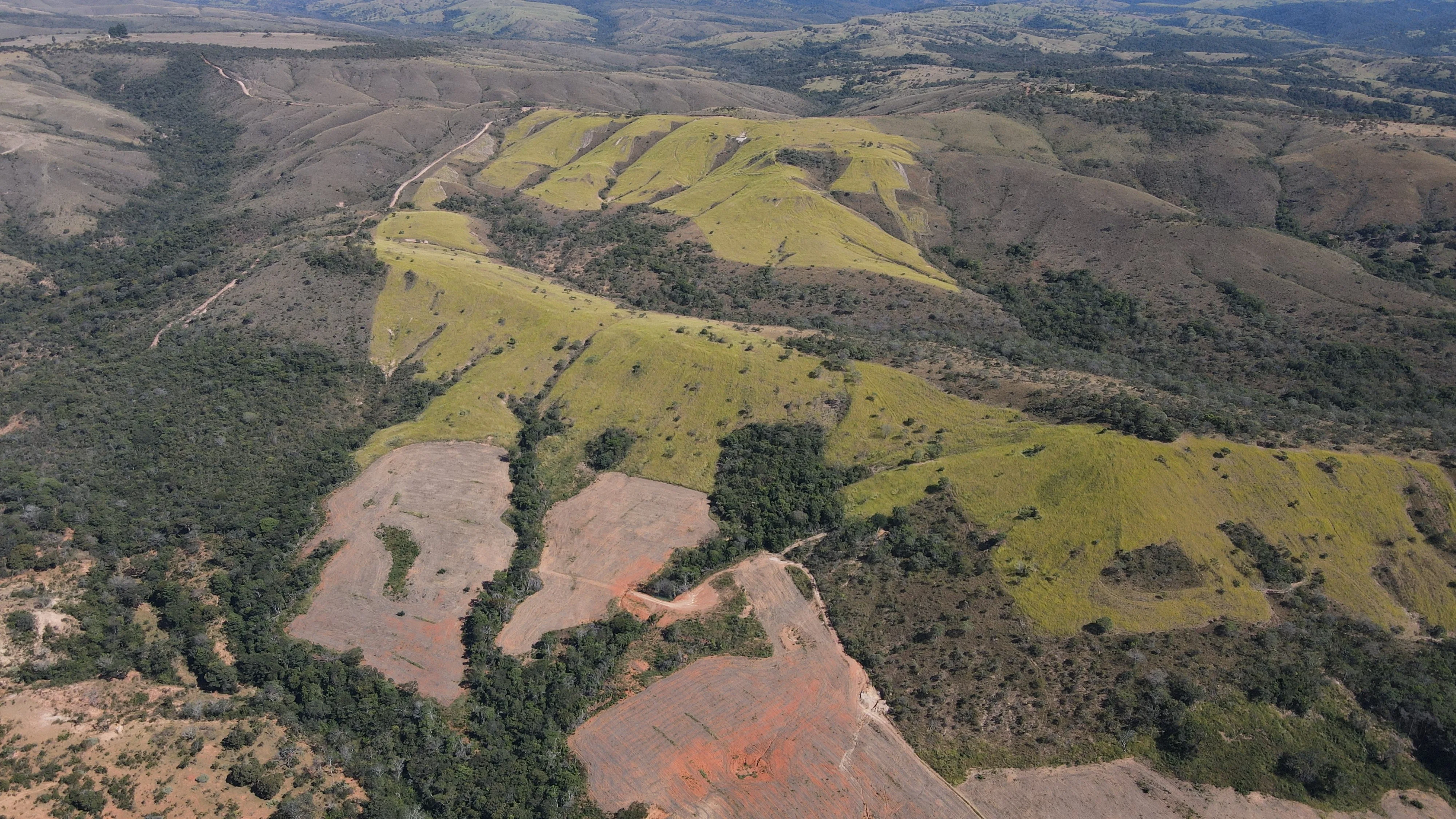 Fazenda De 202 Hectares Dupla Aptidão