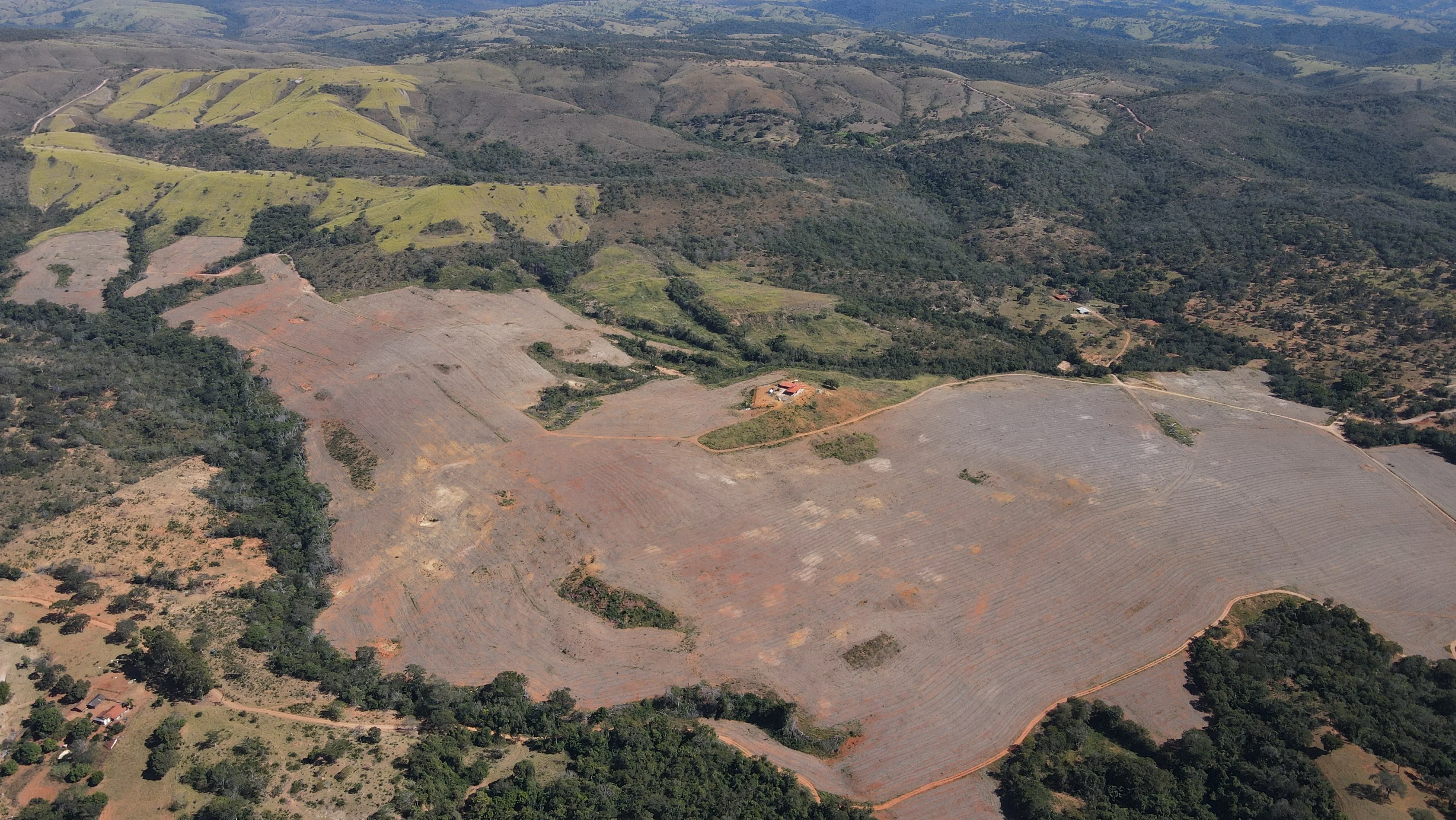 Fazenda De 202 Hectares Dupla Aptidão