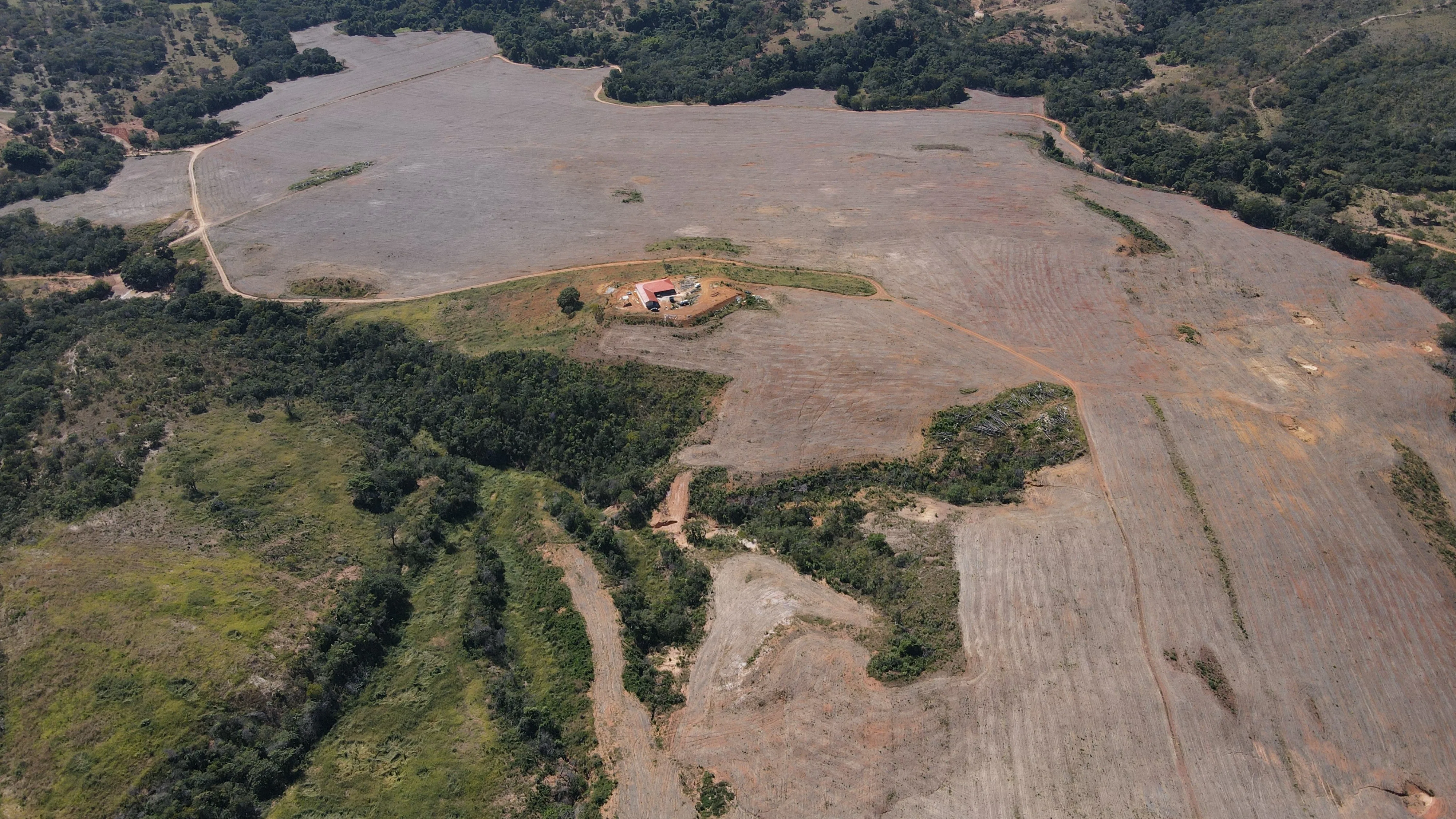 Fazenda De 202 Hectares Dupla Aptidão