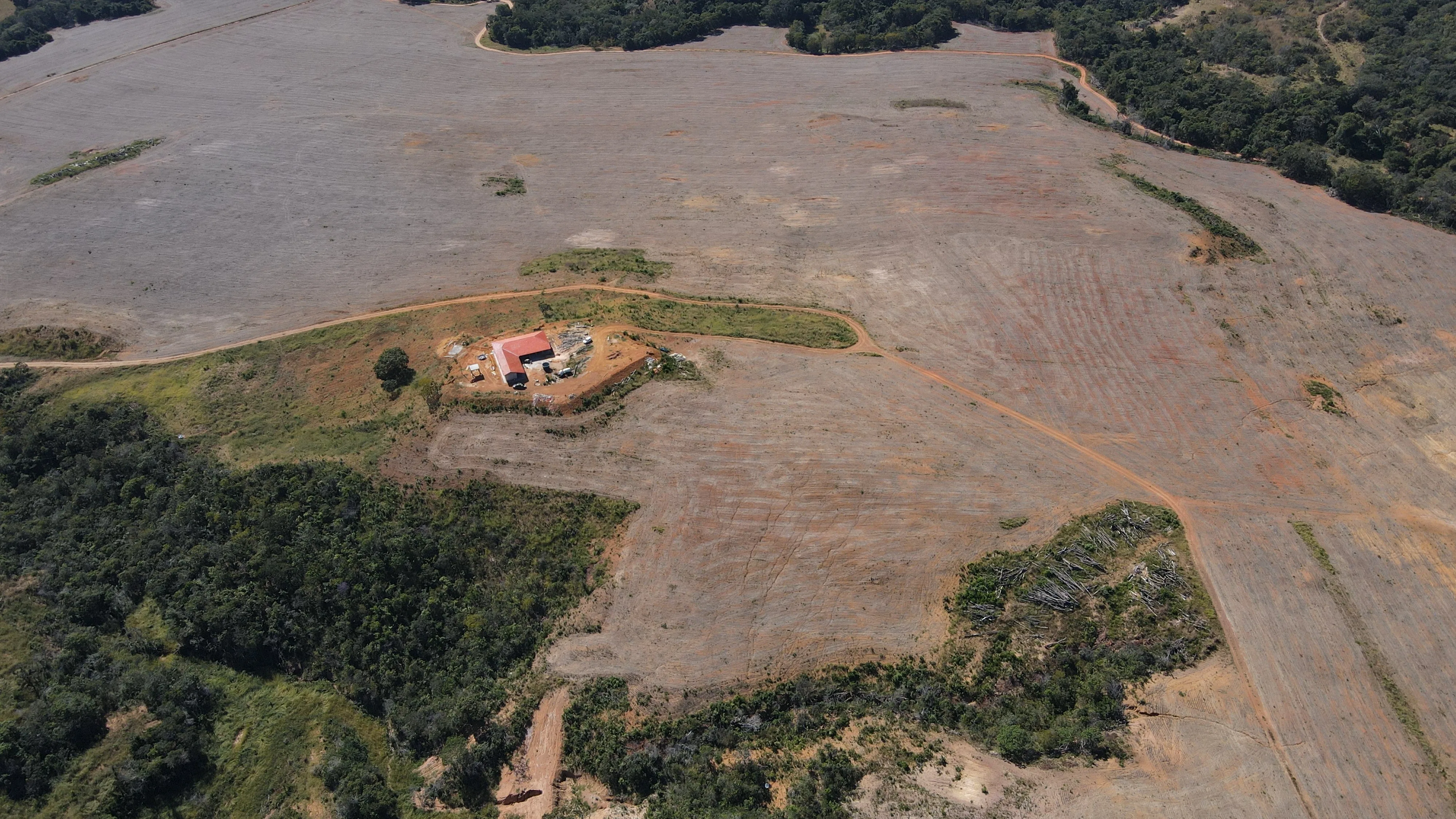 Fazenda De 202 Hectares Dupla Aptidão
