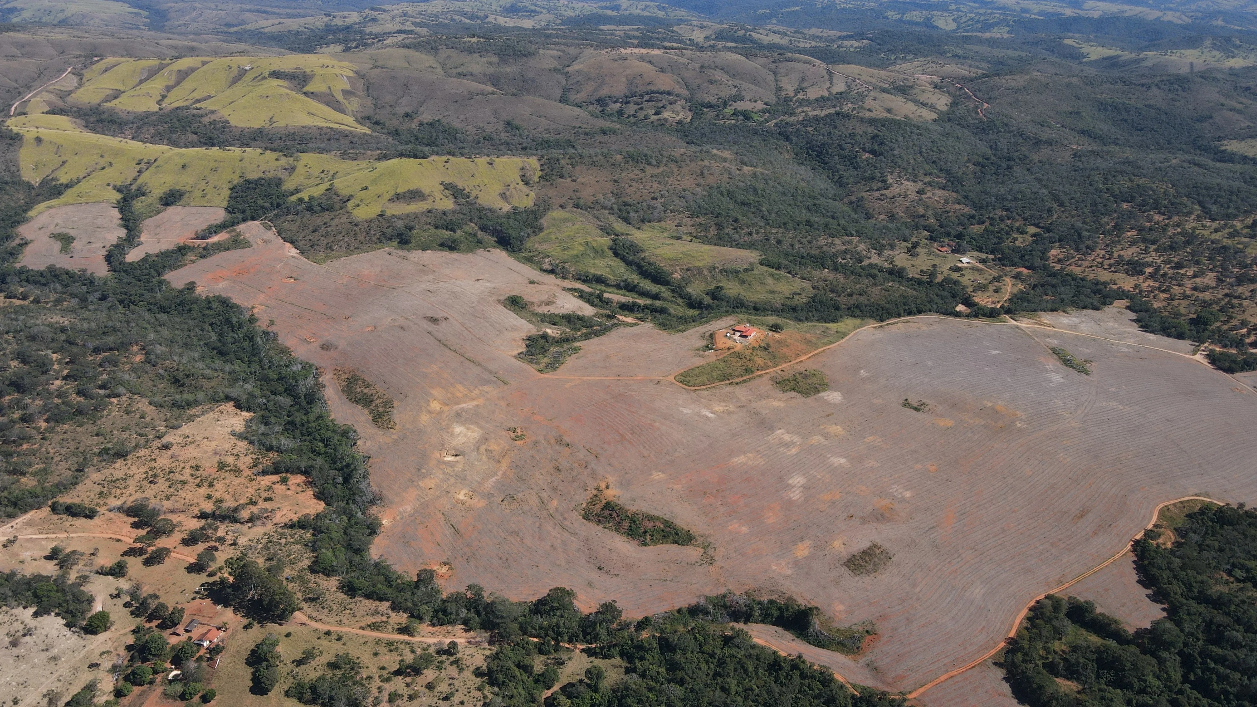 Fazenda De 202 Hectares Dupla Aptidão