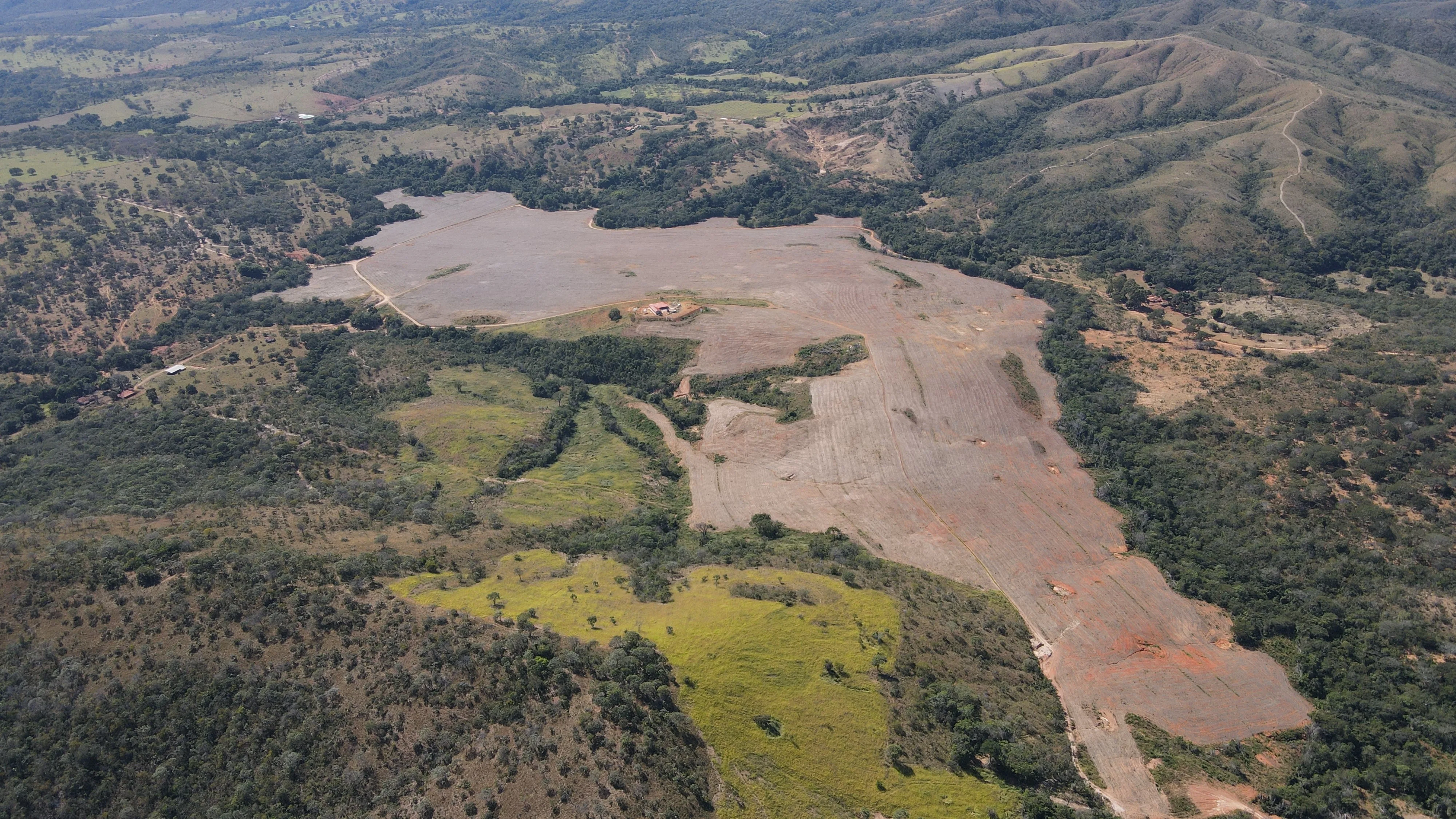 Fazenda De 202 Hectares Dupla Aptidão