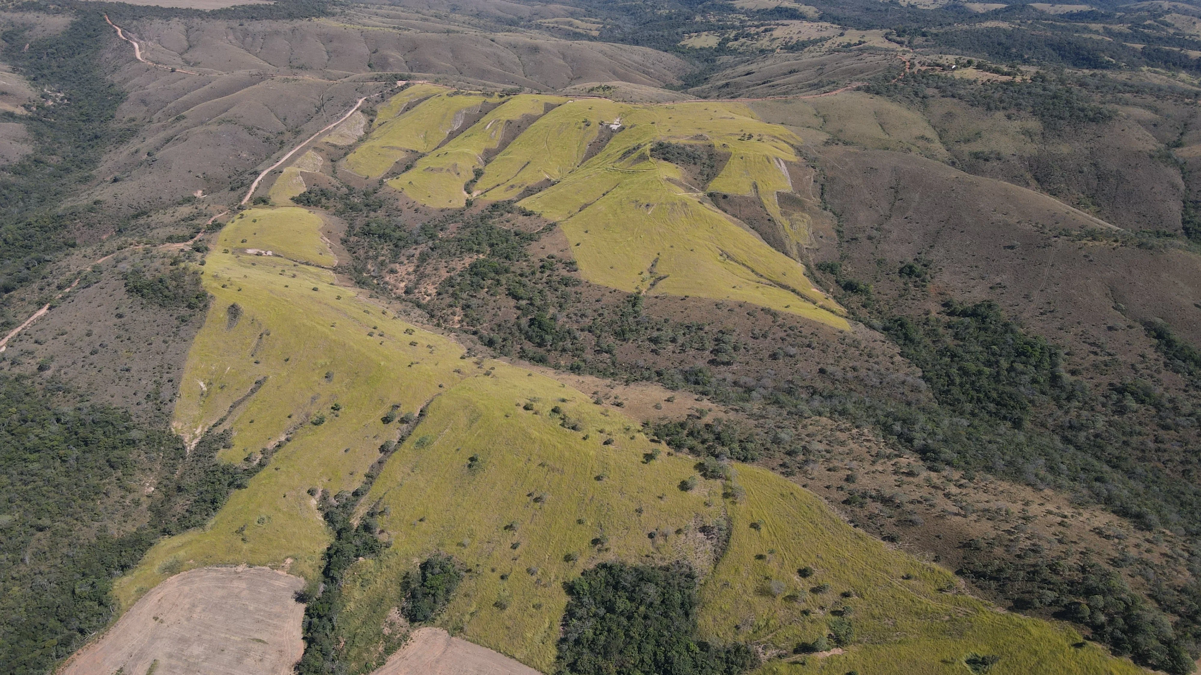 Fazenda De 202 Hectares Dupla Aptidão