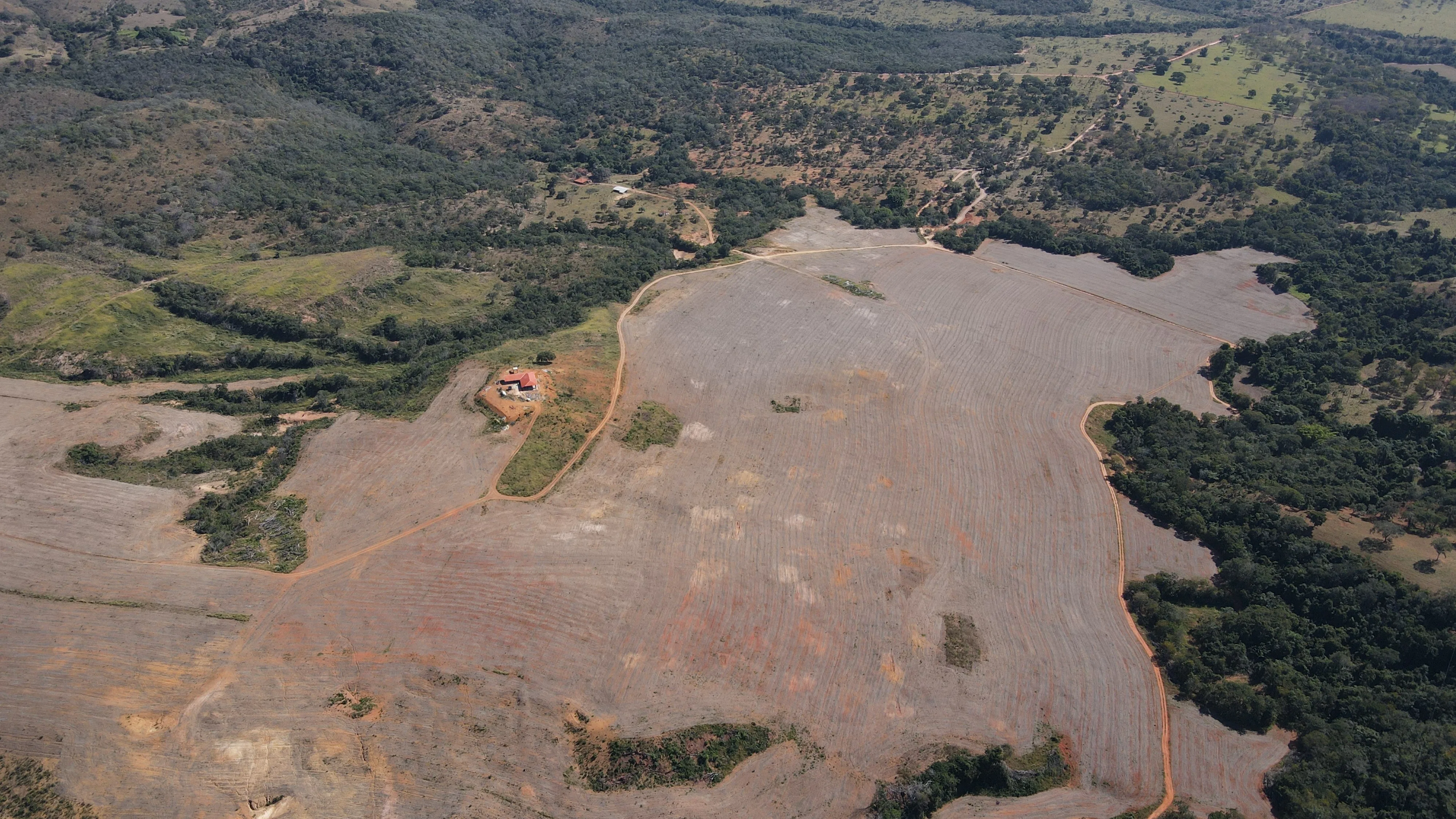 Fazenda De 202 Hectares Dupla Aptidão