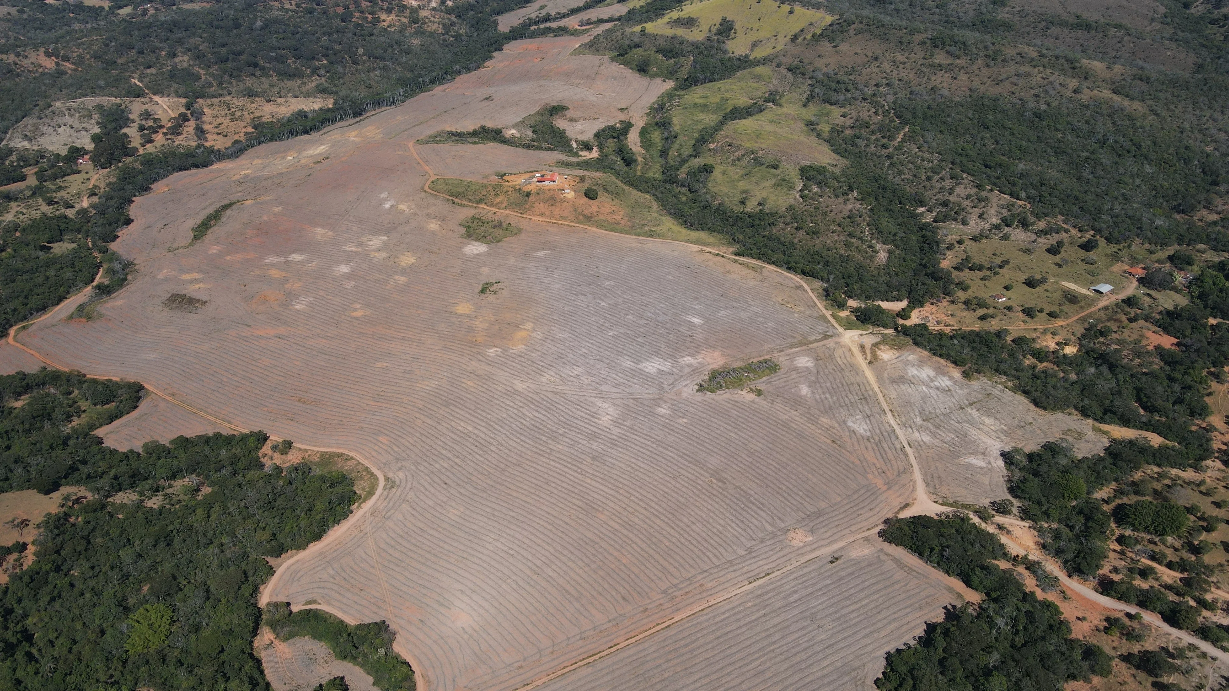 Fazenda De 202 Hectares Dupla Aptidão