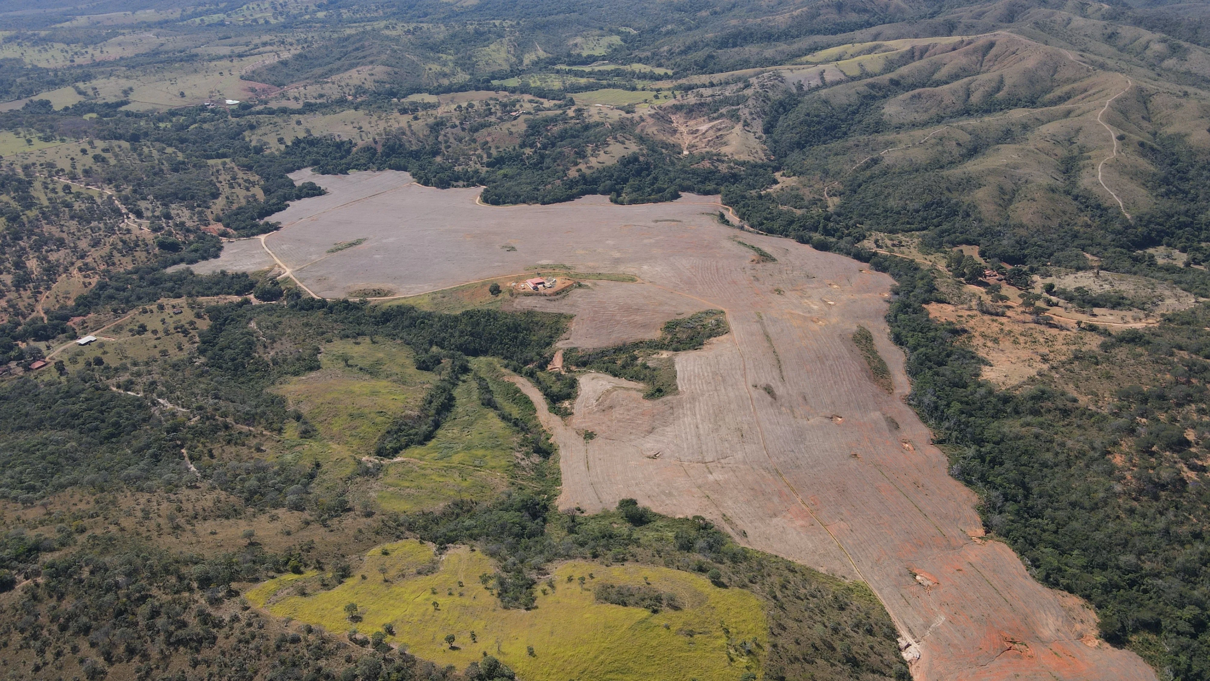 Fazenda De 202 Hectares Dupla Aptidão