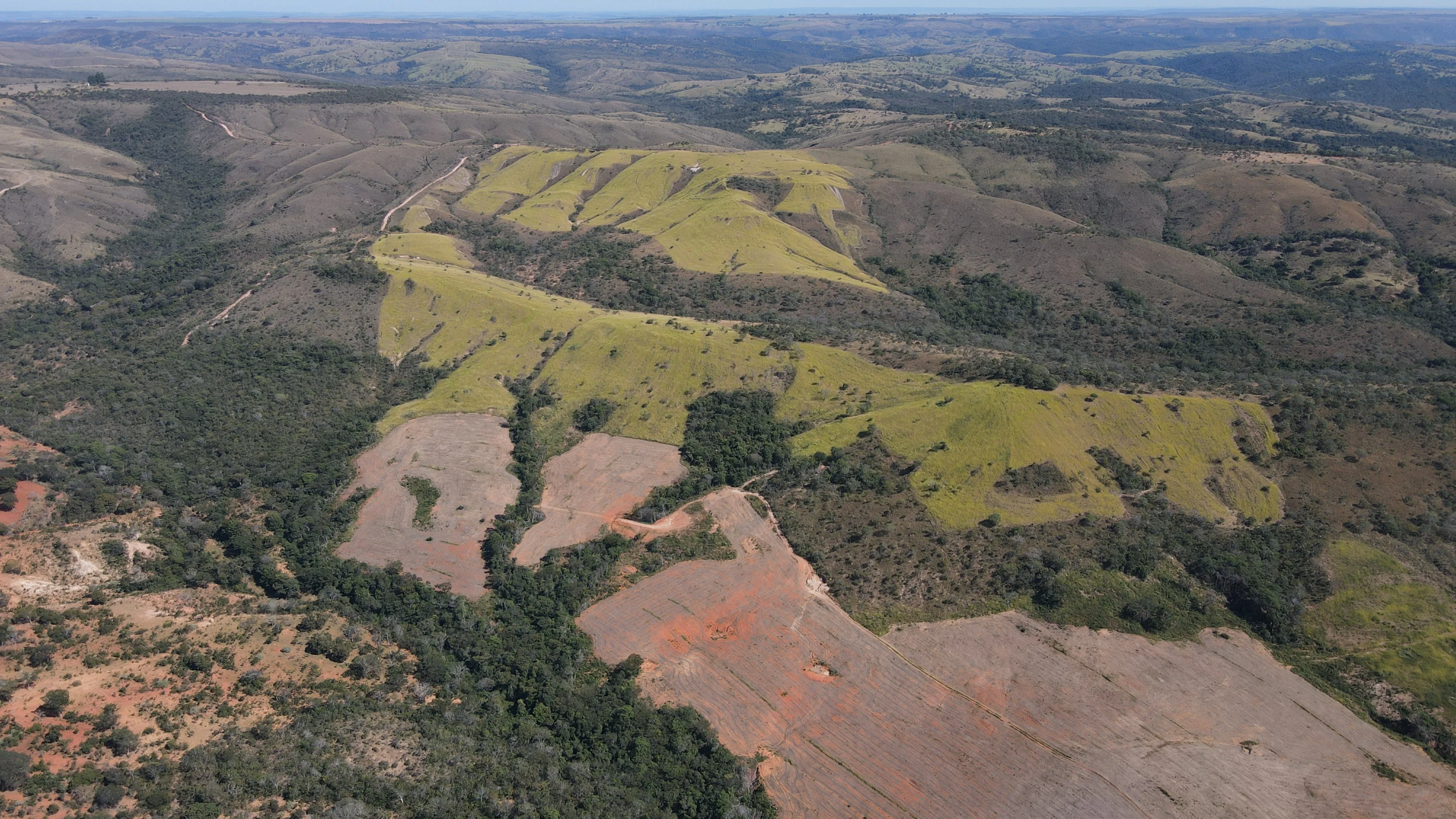 Fazenda De 202 Hectares Dupla Aptidão