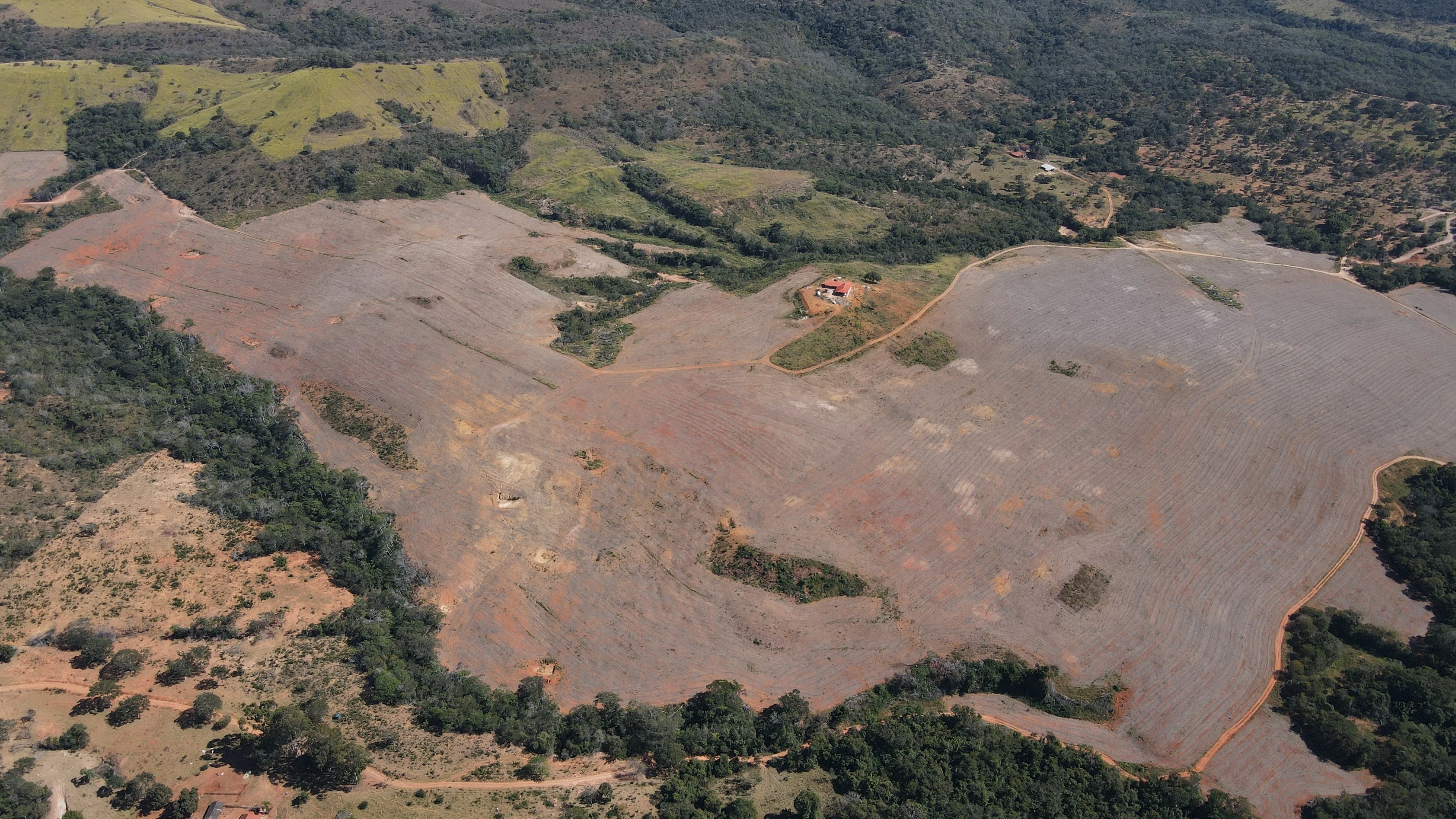 Fazenda De 202 Hectares Dupla Aptidão