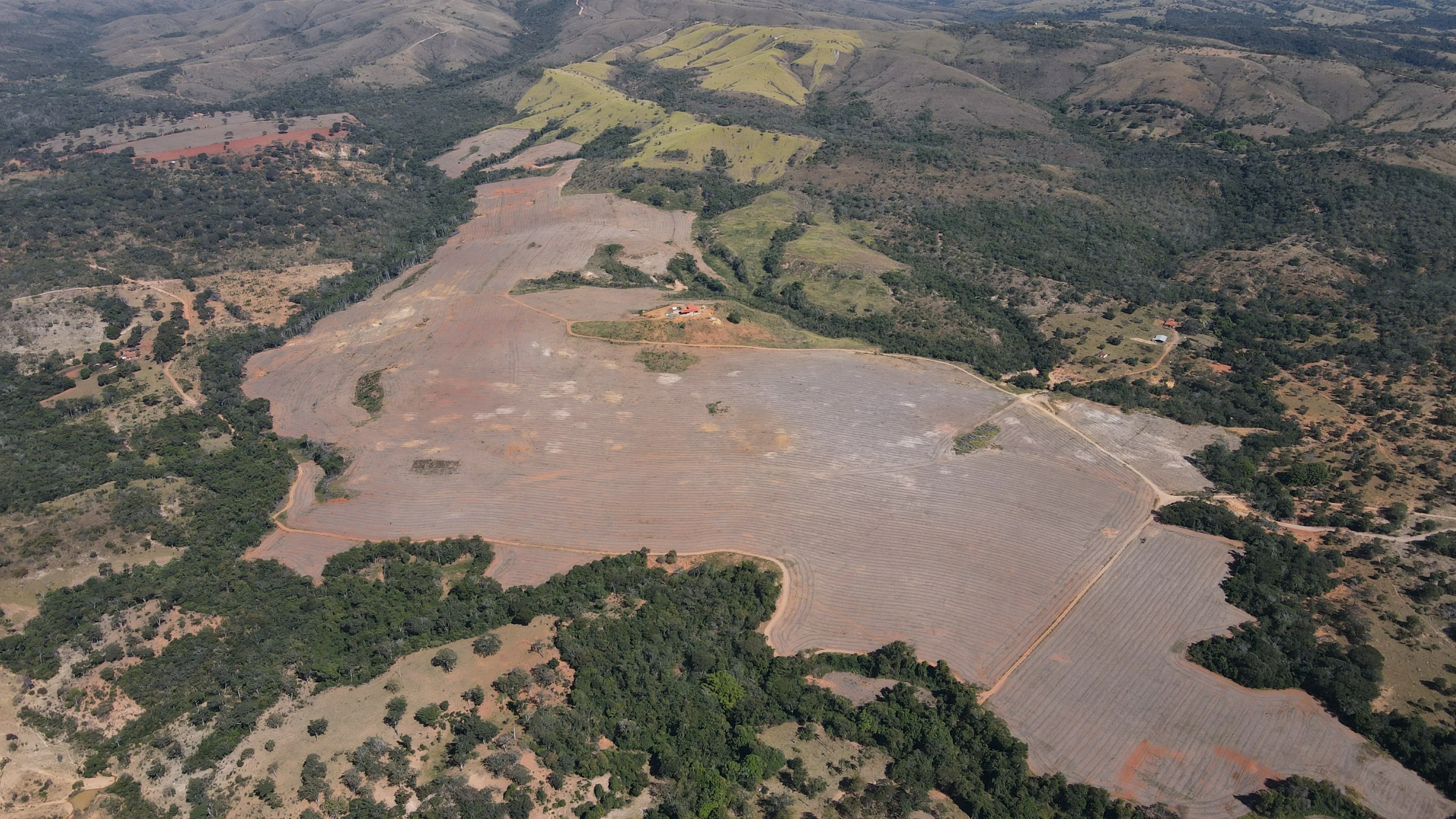 Fazenda De 202 Hectares Dupla Aptidão
