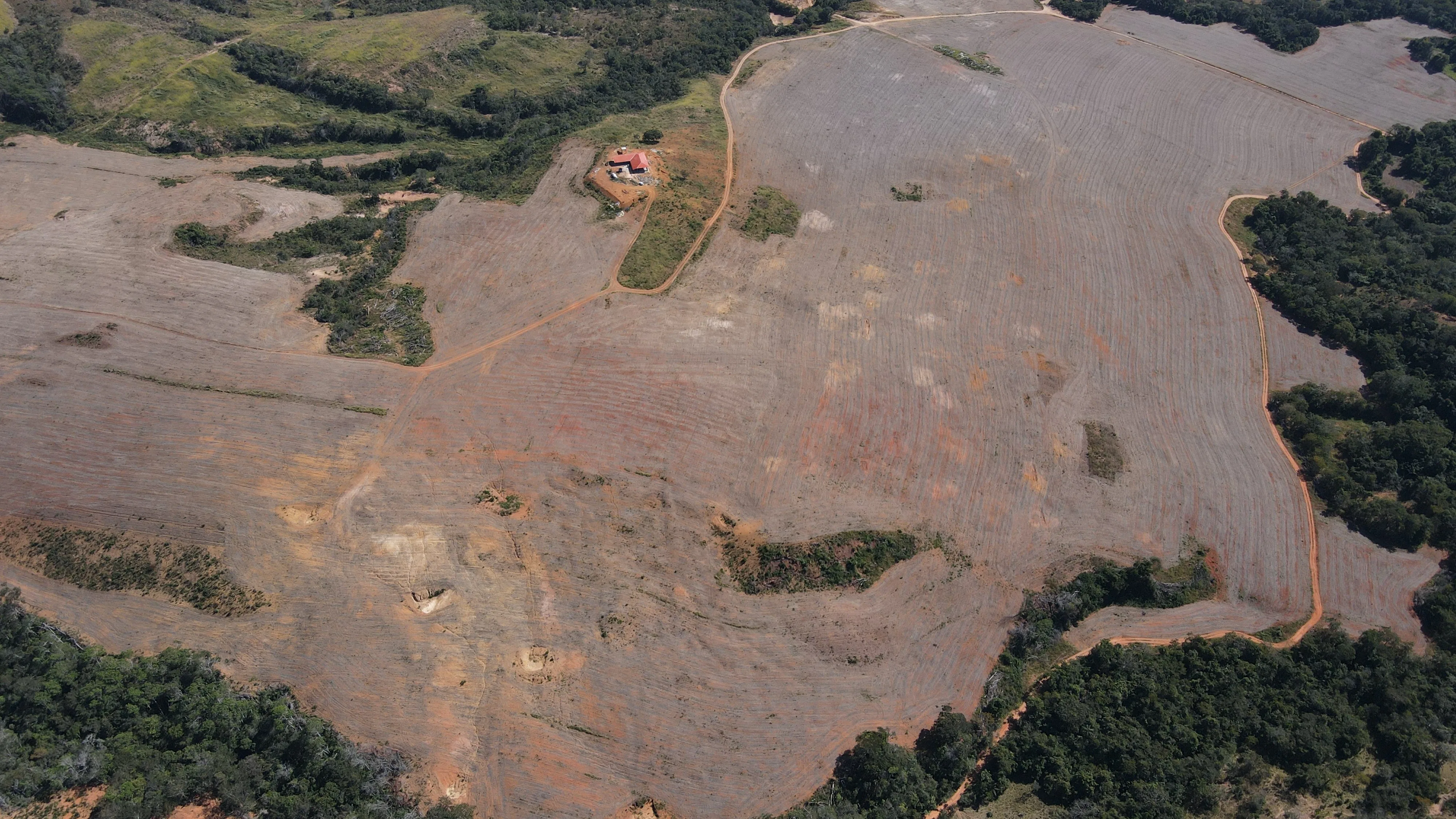 Fazenda De 202 Hectares Dupla Aptidão