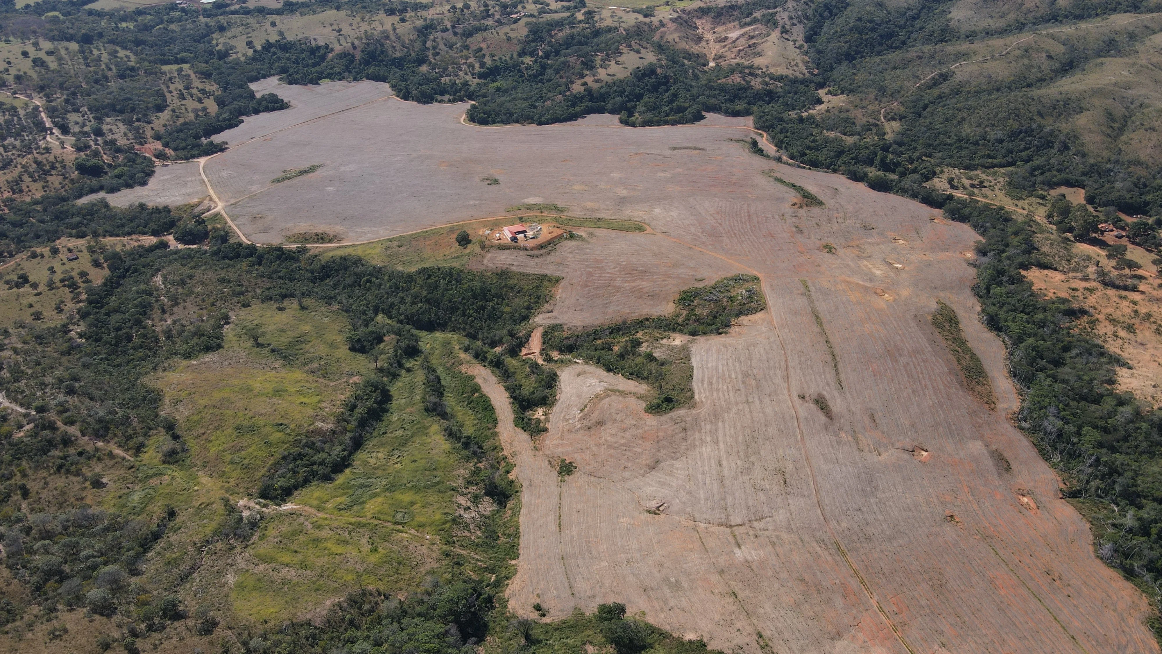 Fazenda De 202 Hectares Dupla Aptidão