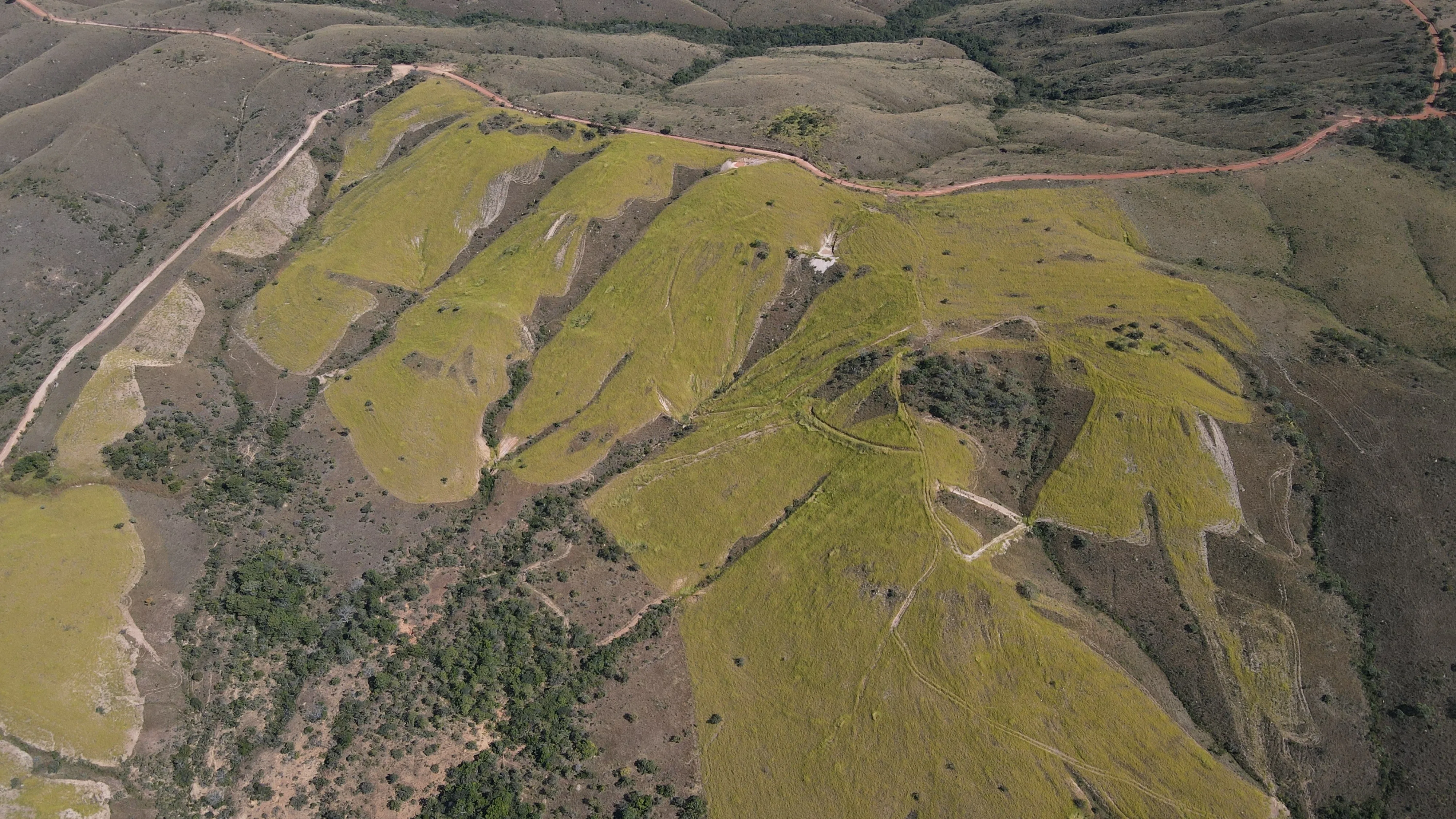 Fazenda De 202 Hectares Dupla Aptidão