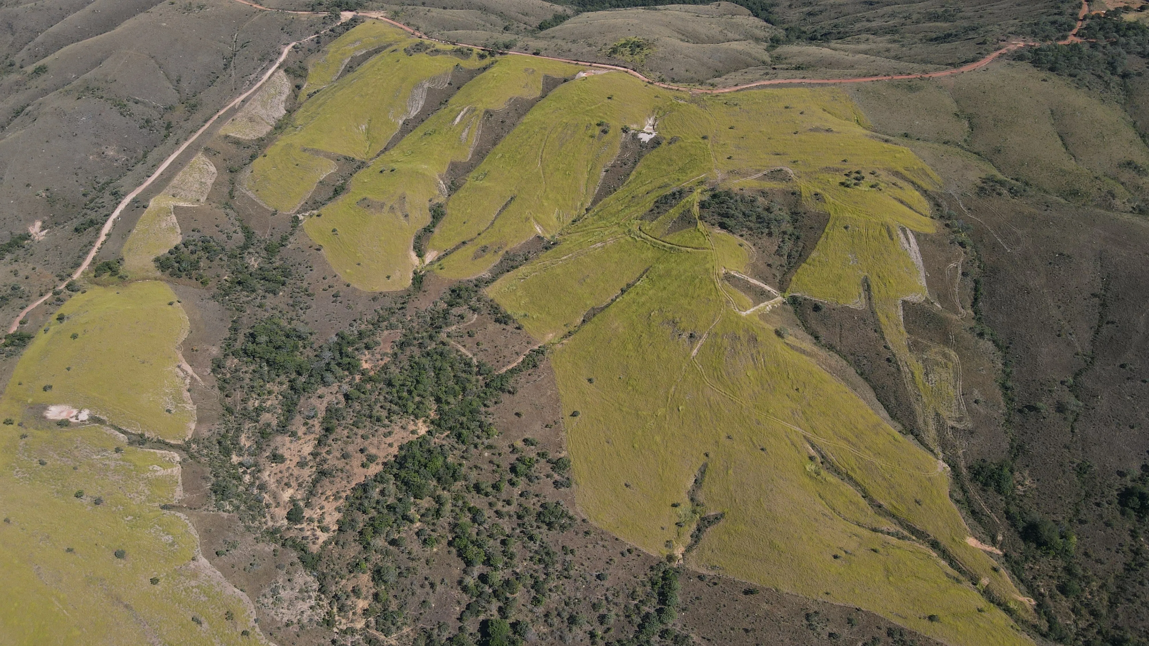 Fazenda De 202 Hectares Dupla Aptidão