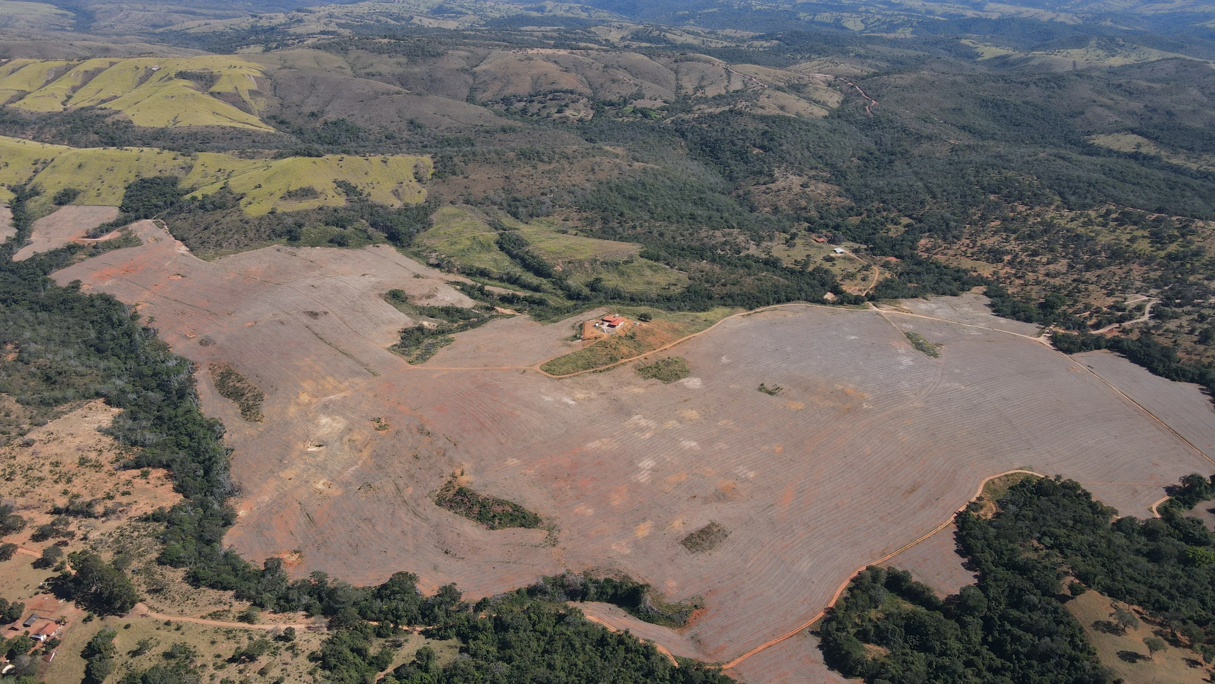 Fazenda De 202 Hectares Dupla Aptidão