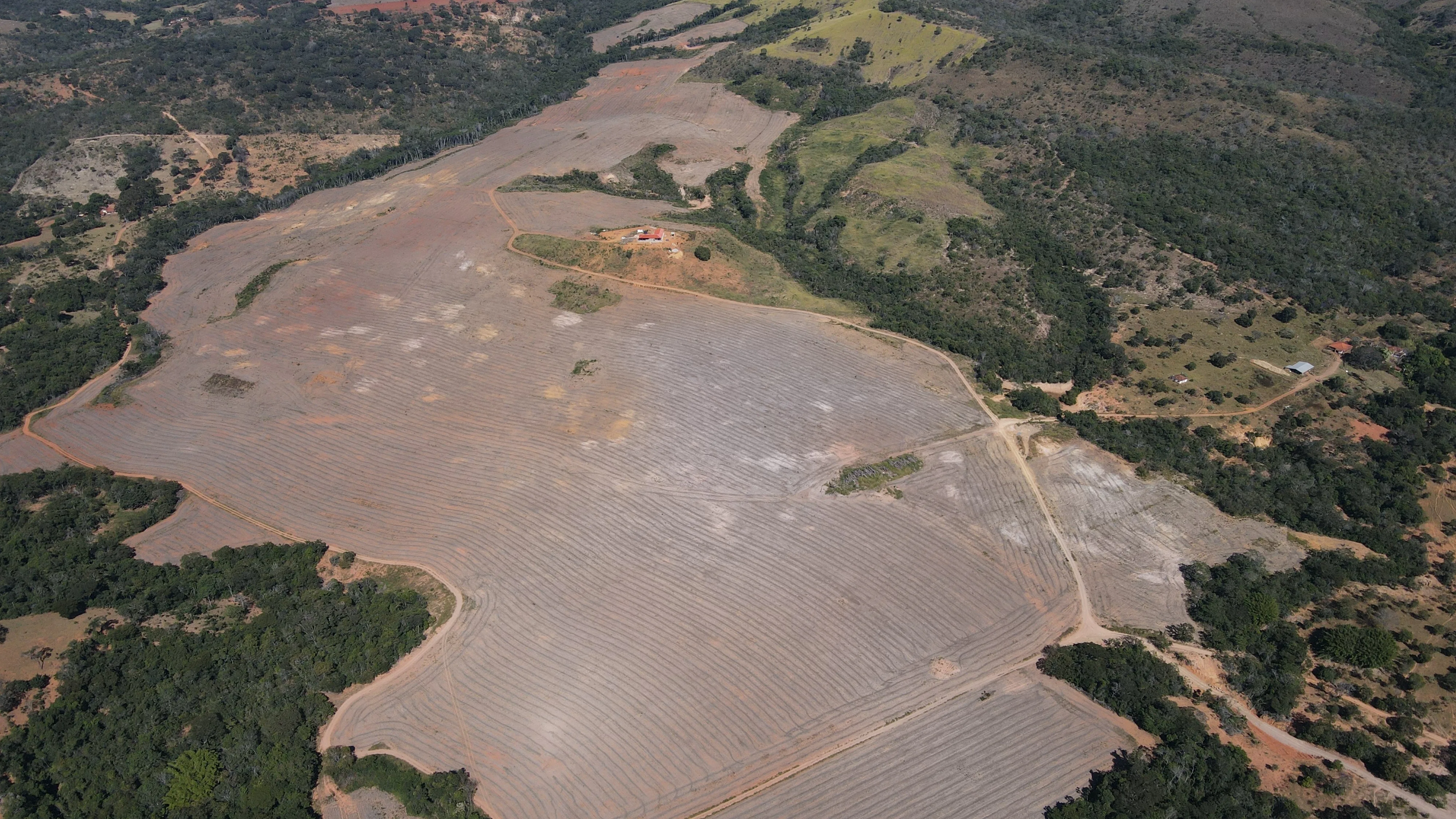 Fazenda De 202 Hectares Dupla Aptidão