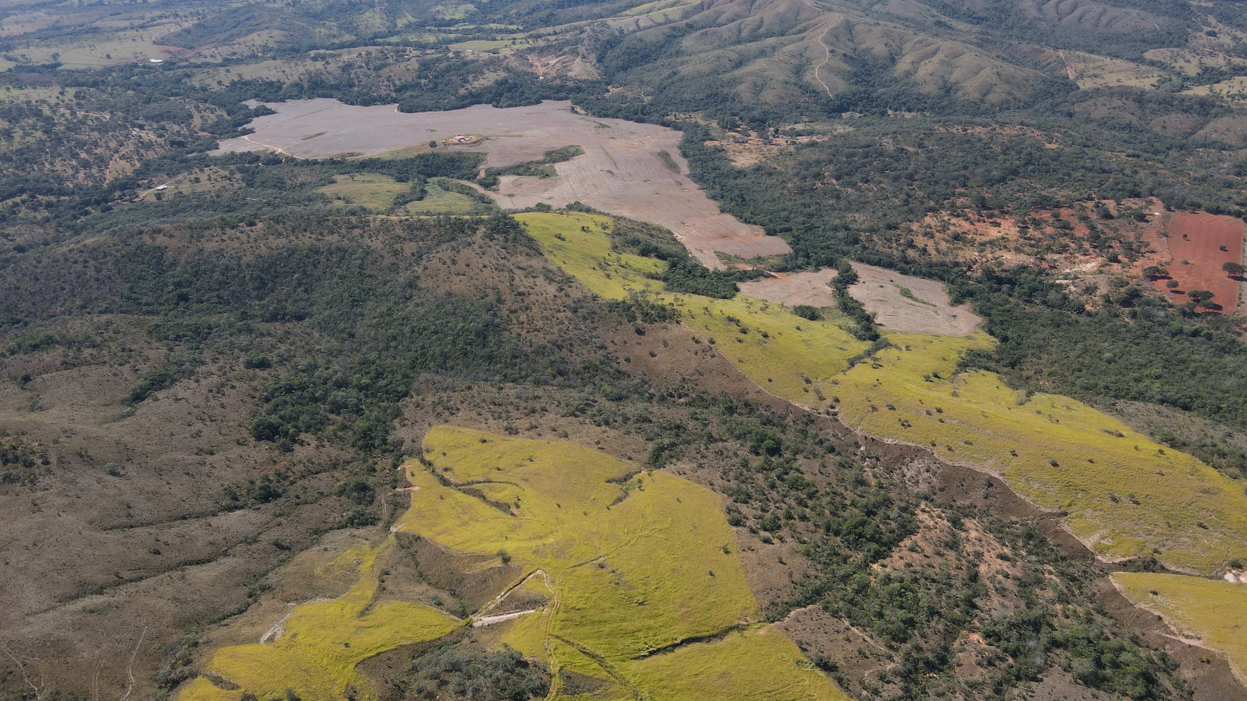 Fazenda De 202 Hectares Dupla Aptidão
