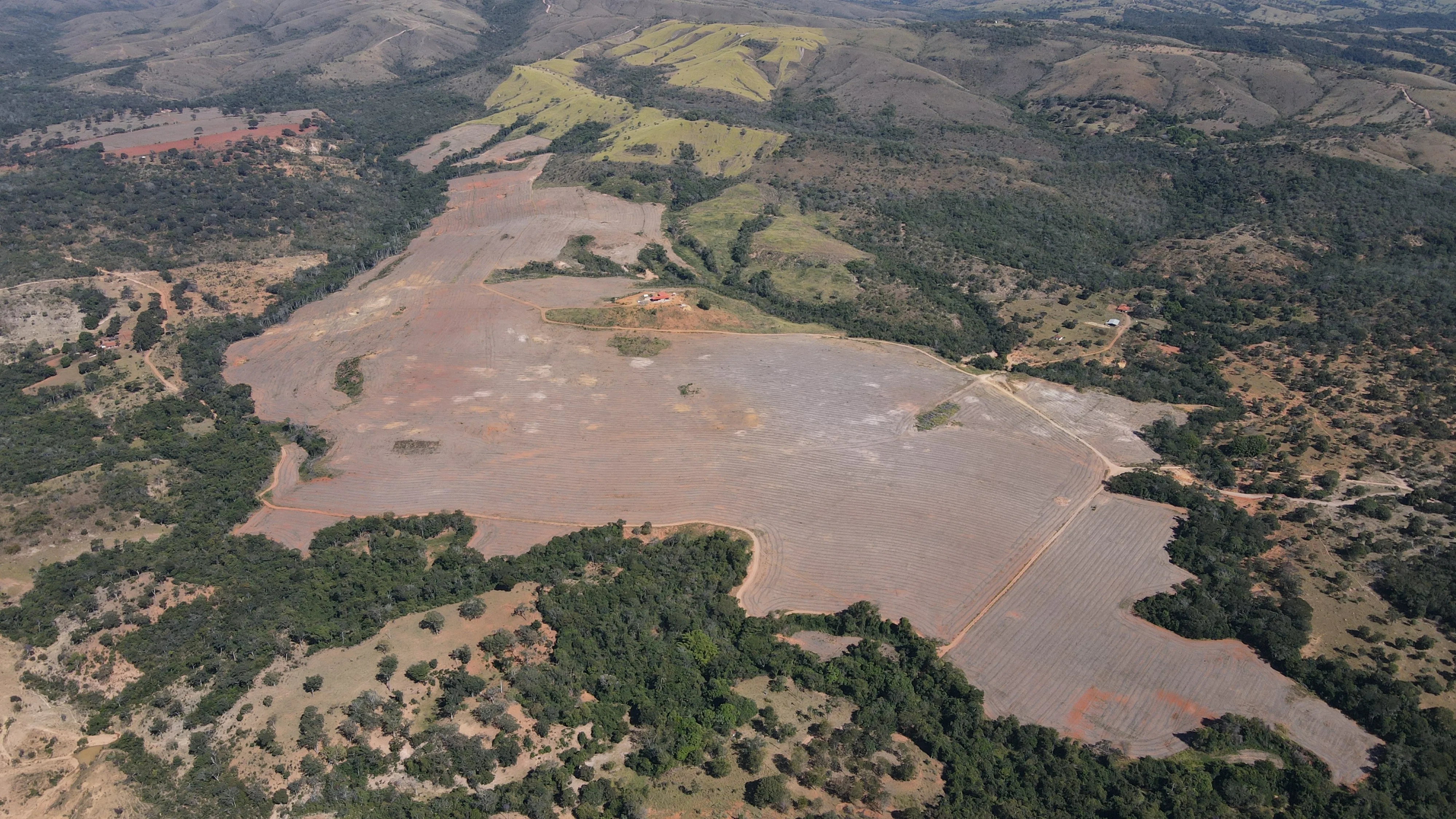 Fazenda De 202 Hectares Dupla Aptidão