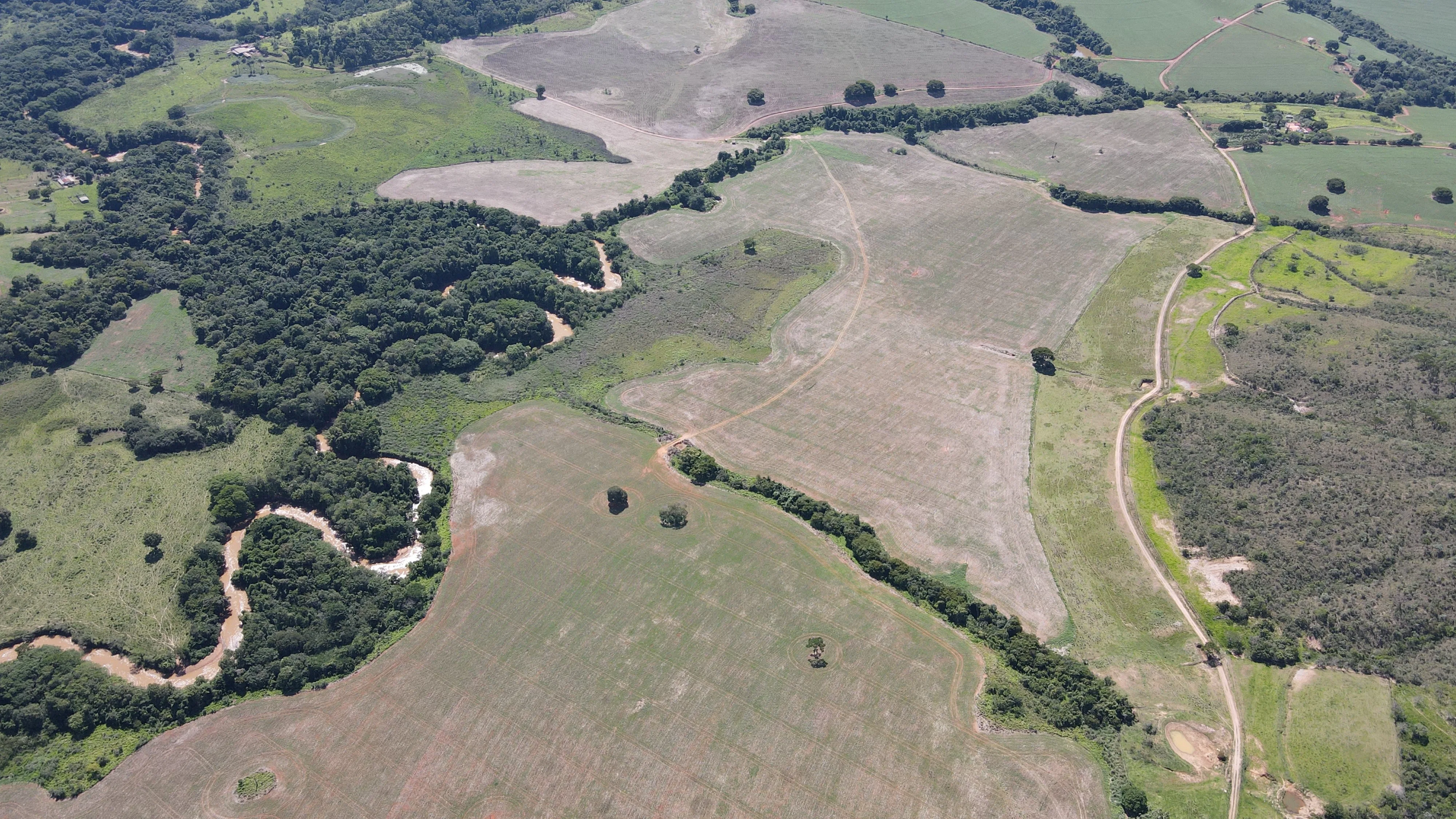 Fazenda De Dupla Aptidão - Serra Do Salitre/Mg