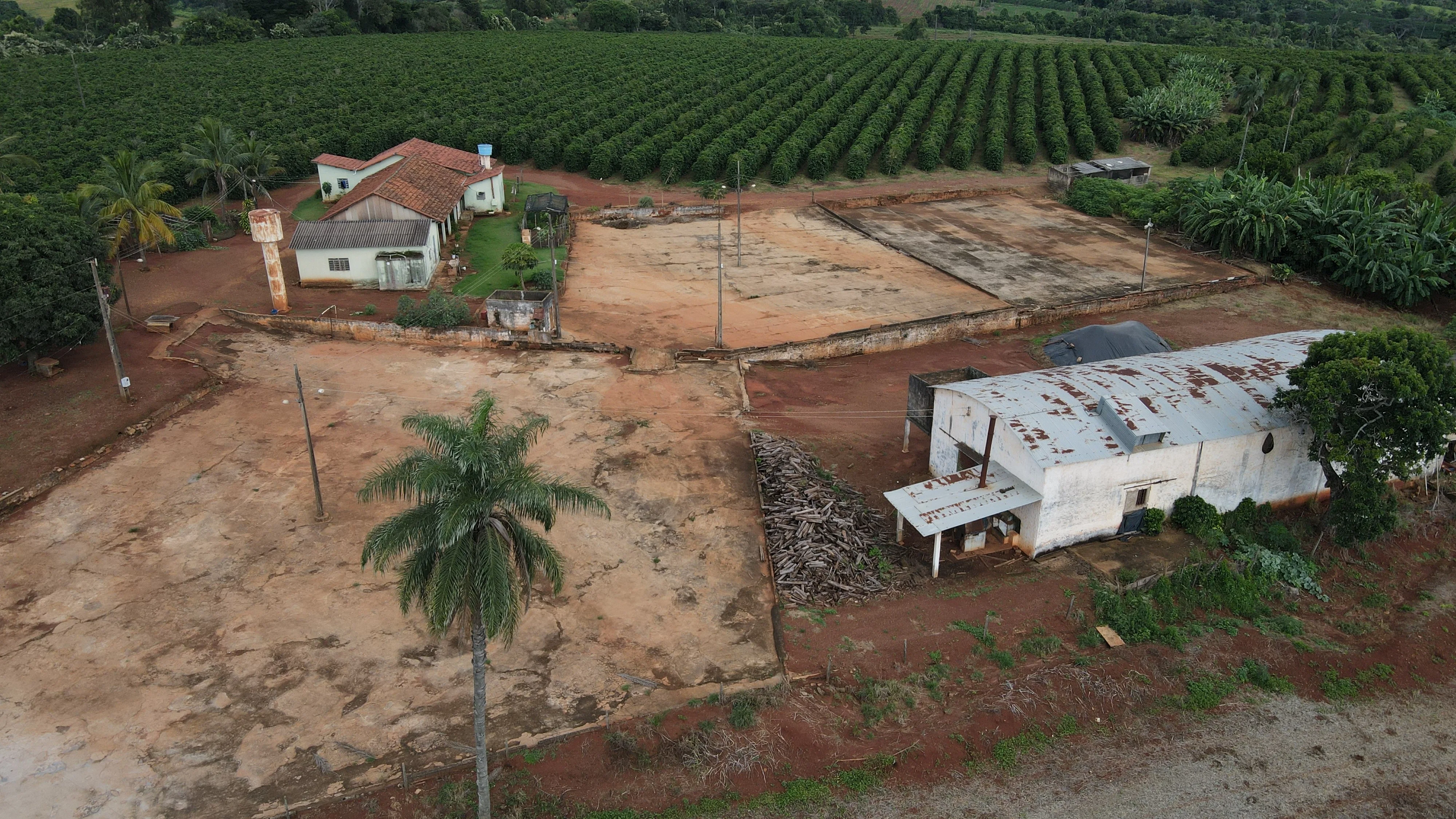 Fazenda Produtora De Café Na Região De Macaúbas De Cima
