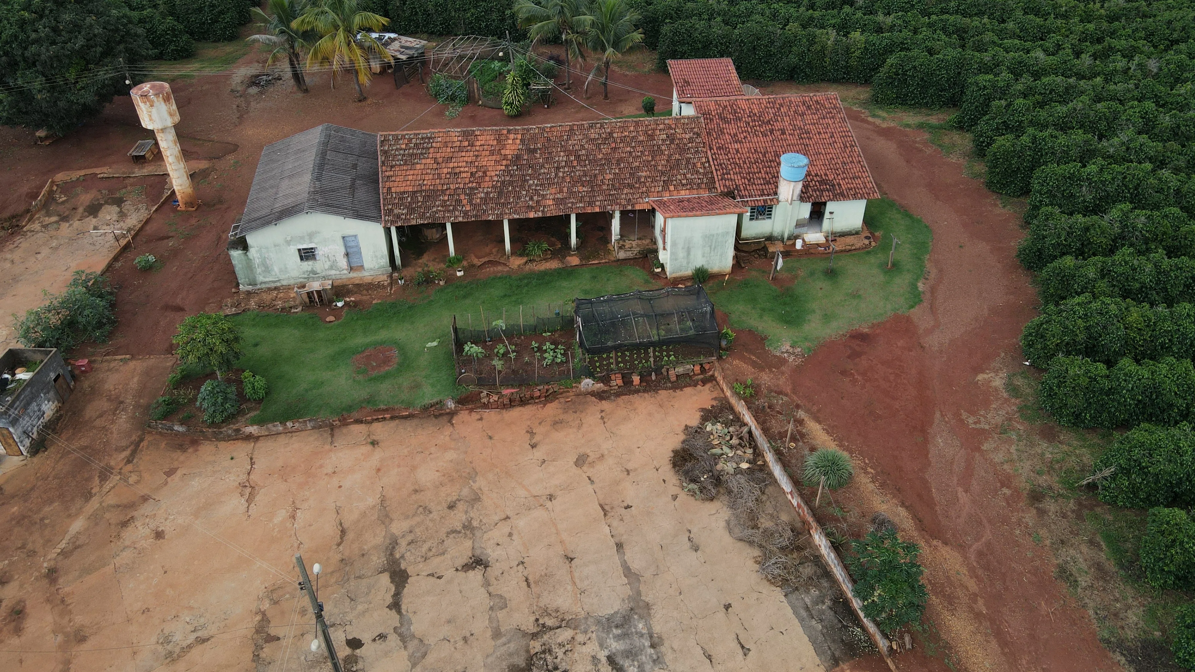 Fazenda Produtora De Café Na Região De Macaúbas De Cima