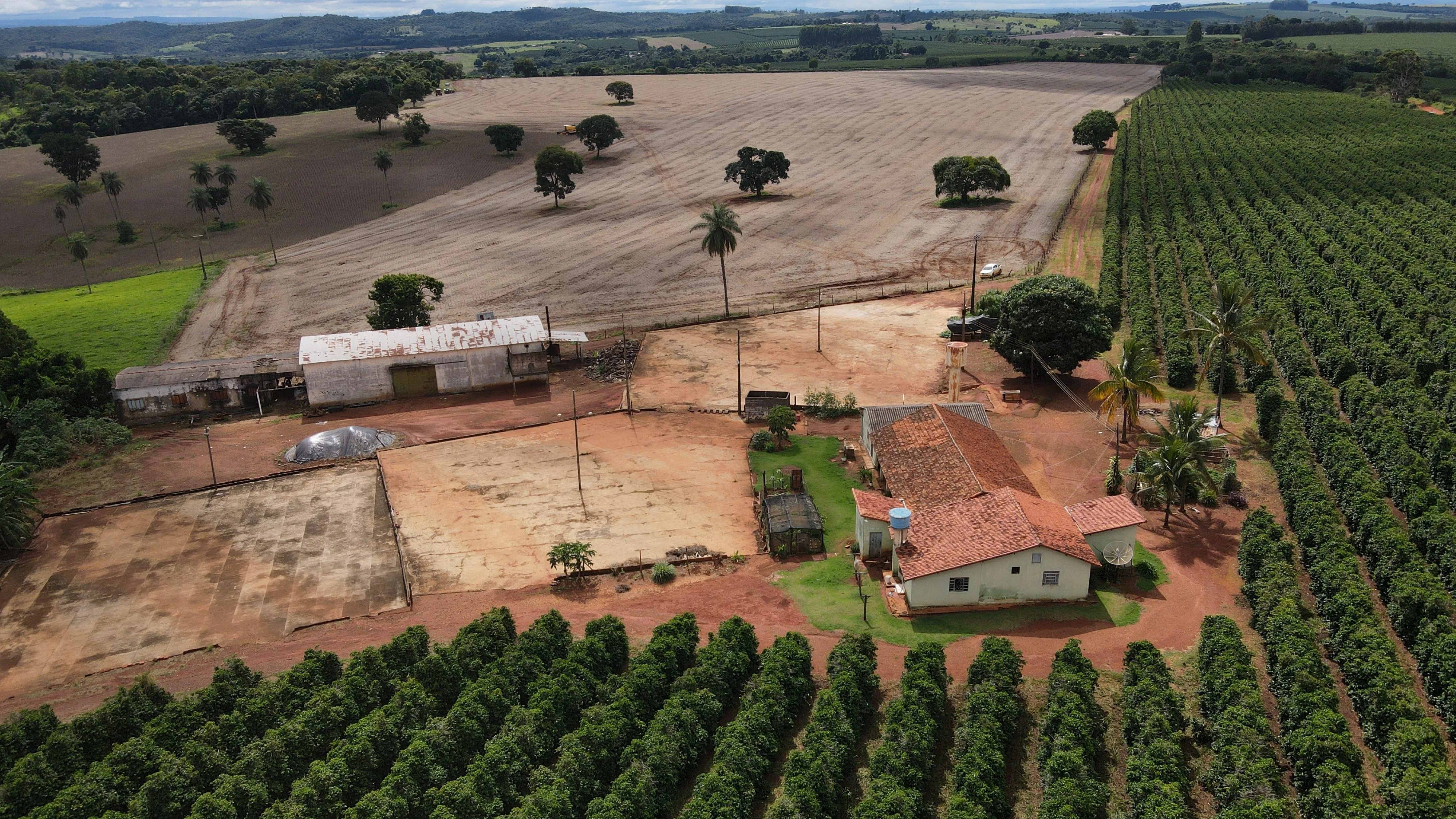 Fazenda Produtora De Café Na Região De Macaúbas De Cima