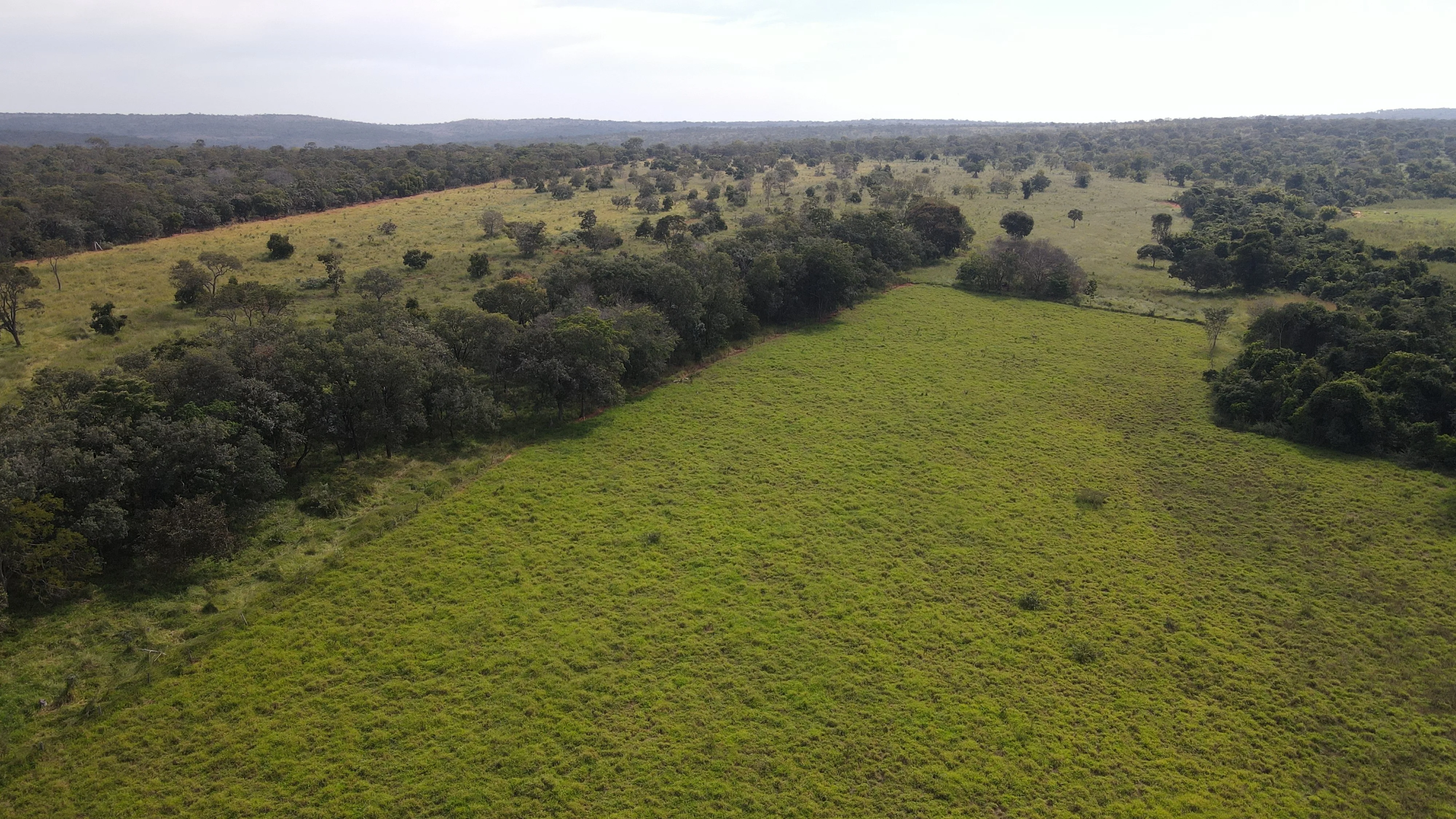 Excelente Fazenda De Dupla Aptidão - Três Marias/Mg
