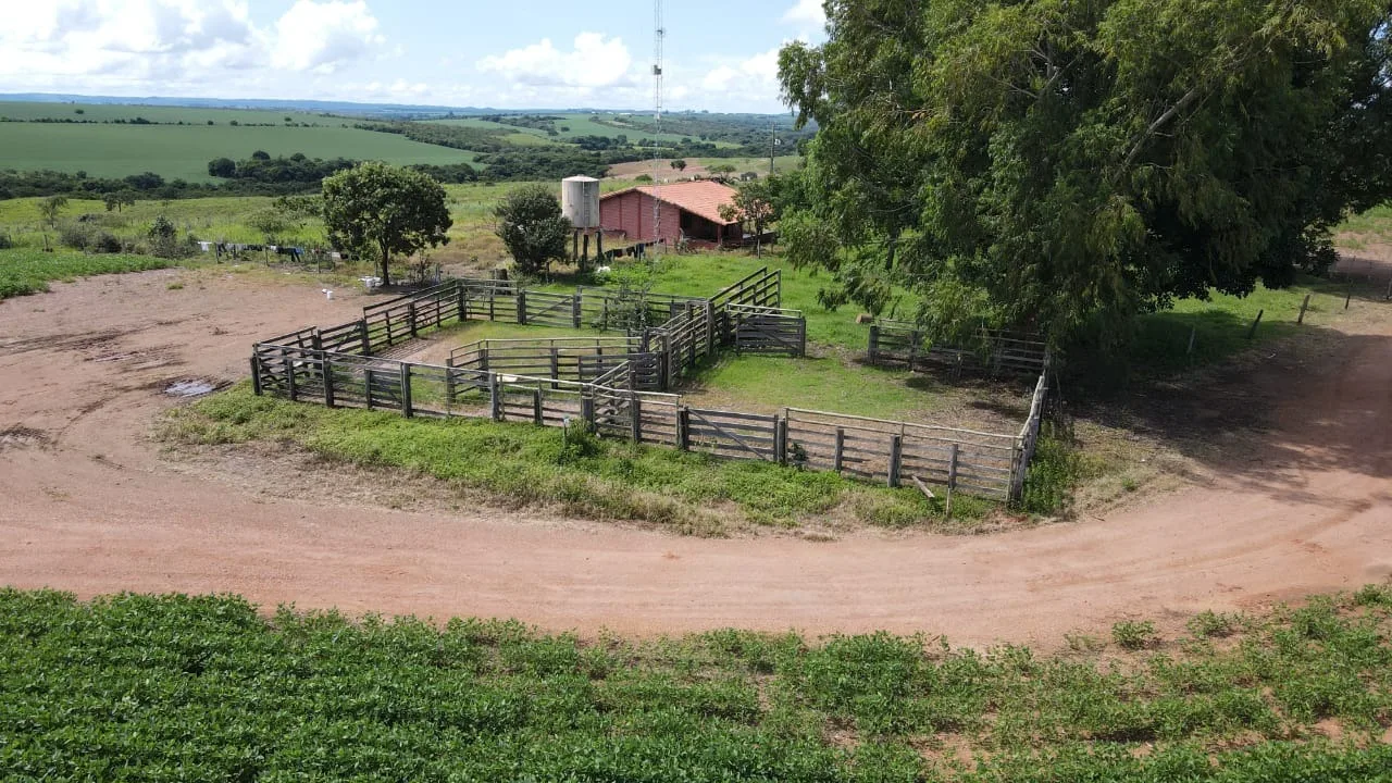 Fazenda Com Pivôs Próximo A Lagamar Dos Coqueiros Em Coromandel/Mg