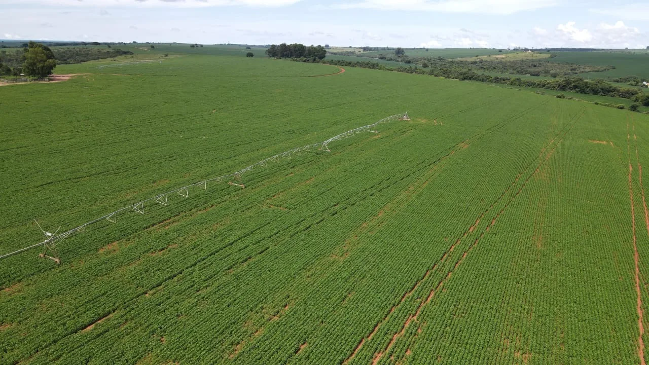 Fazenda Com Pivôs Próximo A Lagamar Dos Coqueiros Em Coromandel/Mg