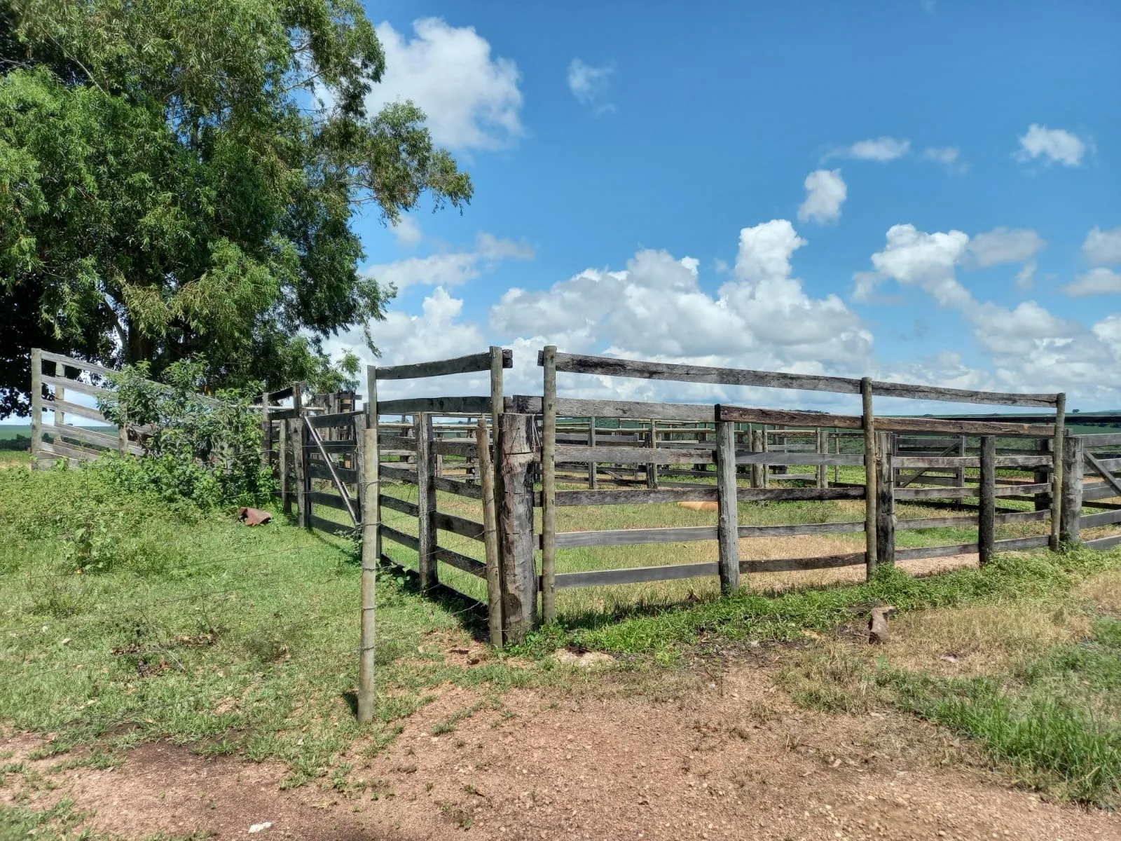 Fazenda Com Pivôs Próximo A Lagamar Dos Coqueiros Em Coromandel/Mg