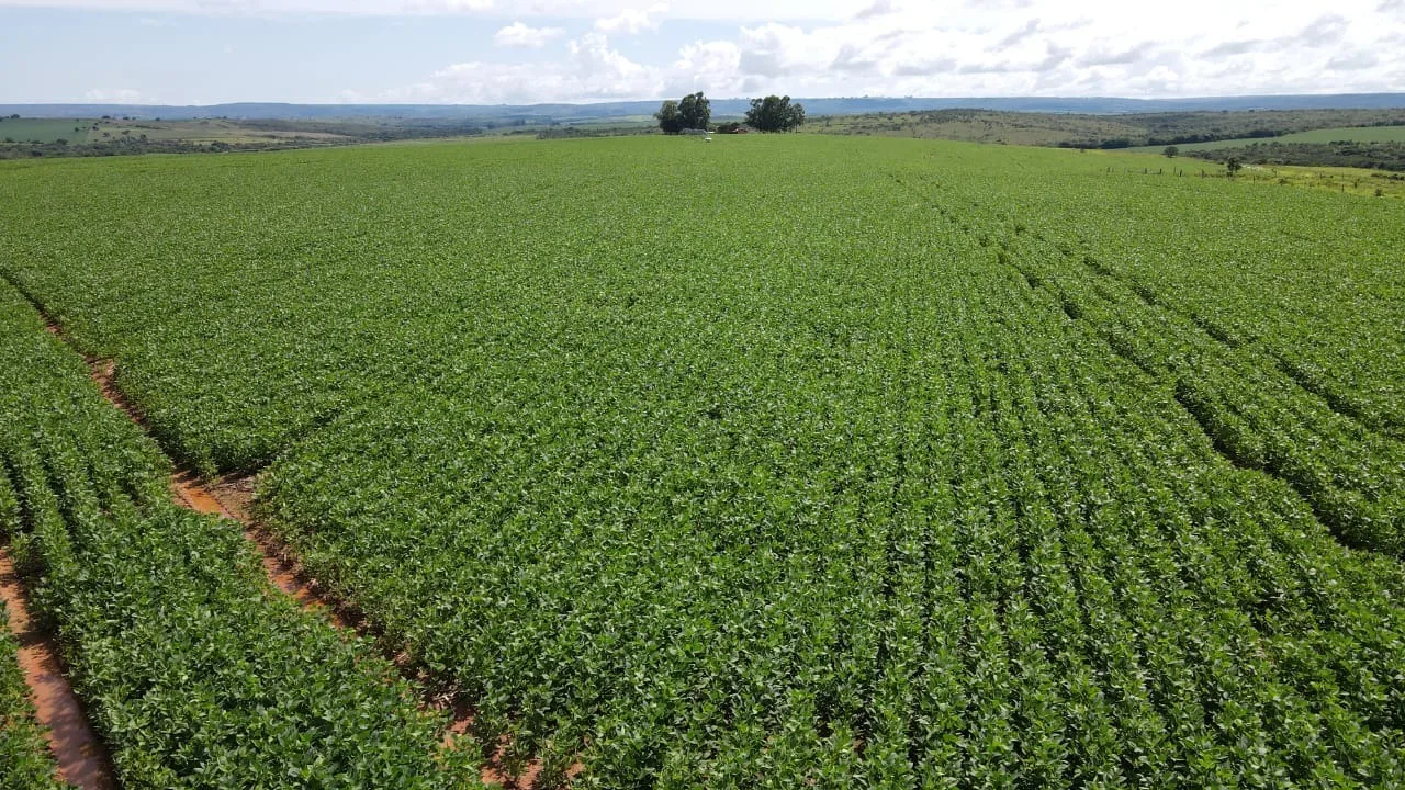 Fazenda Com Pivôs Próximo A Lagamar Dos Coqueiros Em Coromandel/Mg