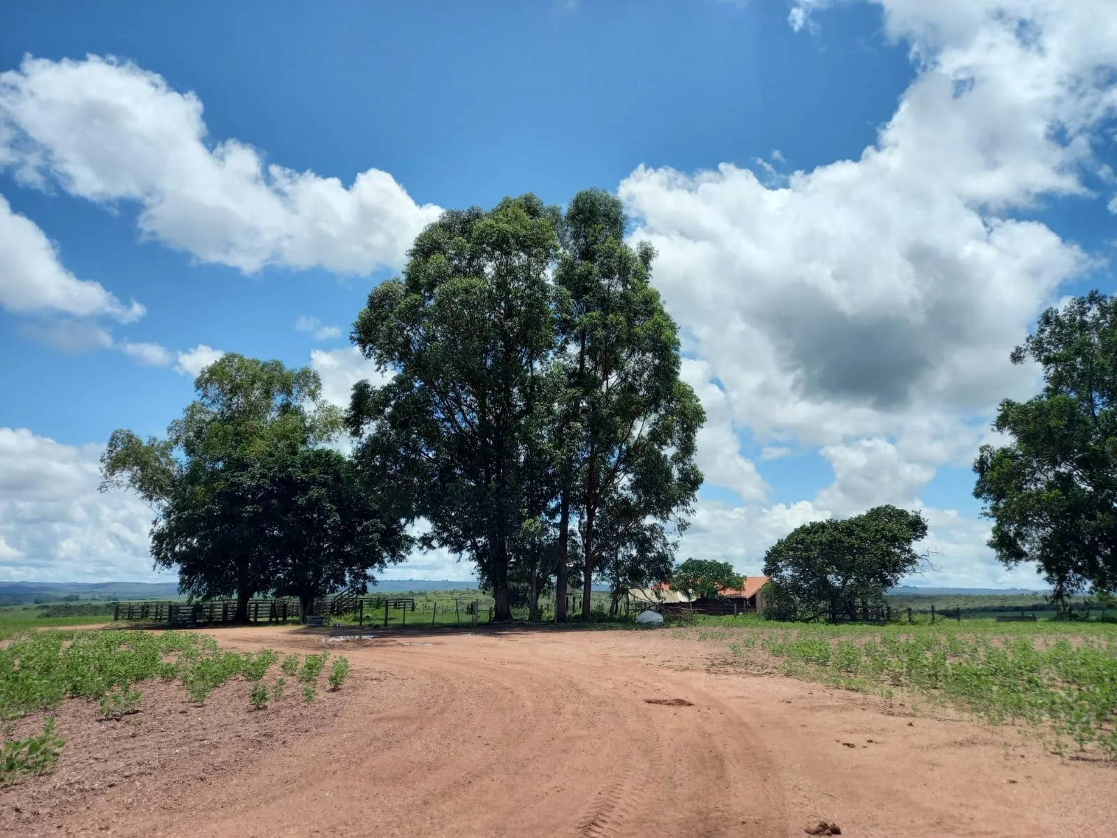 Fazenda Com Pivôs Próximo A Lagamar Dos Coqueiros Em Coromandel/Mg