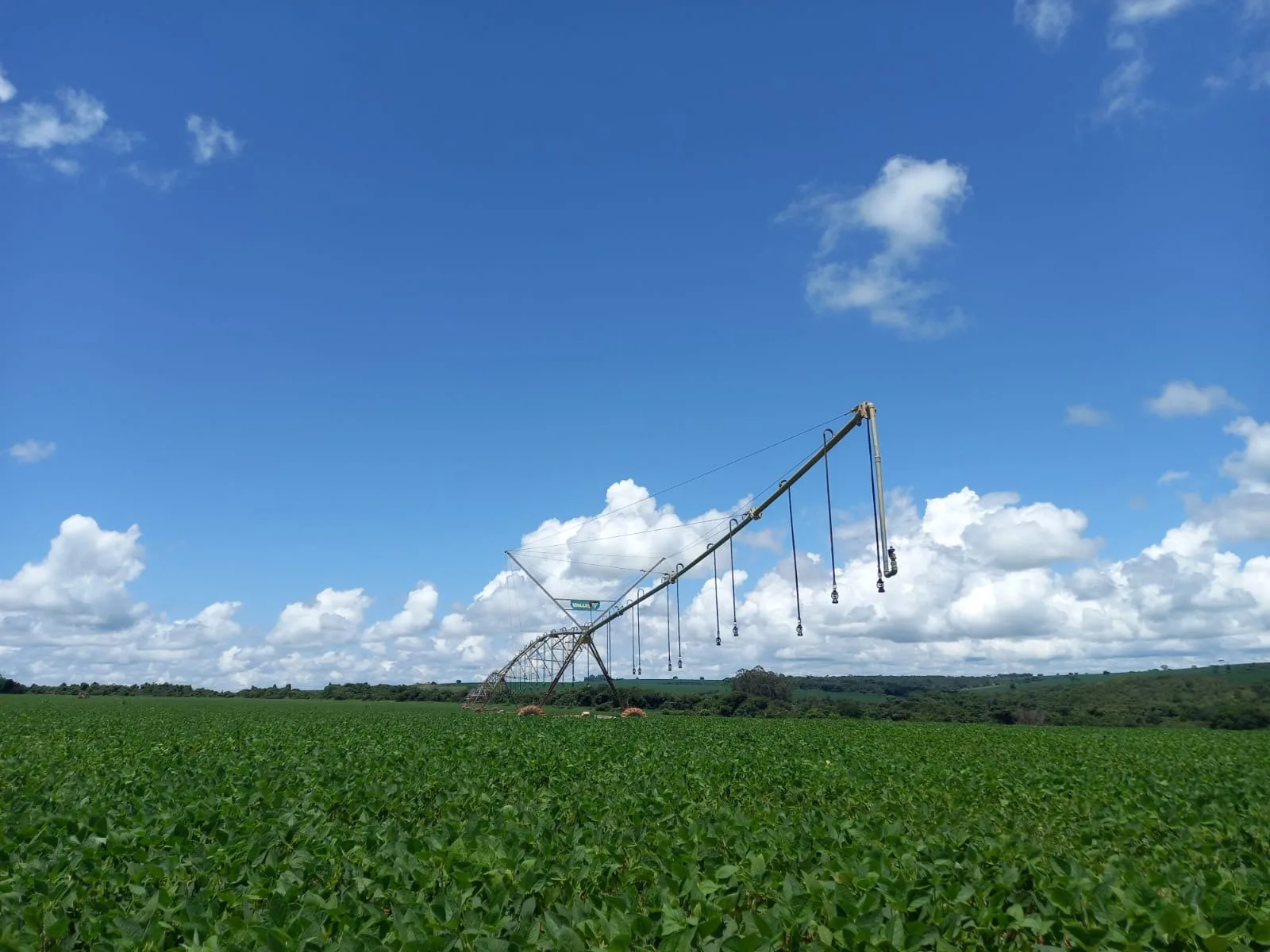 Fazenda Com Pivôs Próximo A Lagamar Dos Coqueiros Em Coromandel/Mg