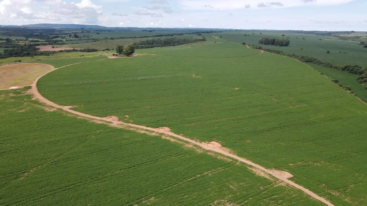Fazenda Com Pivôs Próximo A Lagamar Dos Coqueiros Em Coromandel/Mg