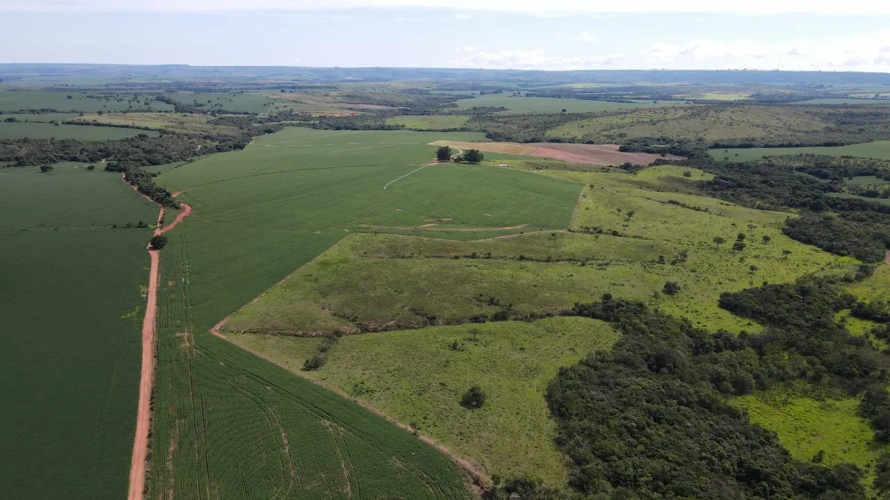 Fazenda Com Pivôs Próximo A Lagamar Dos Coqueiros Em Coromandel/Mg