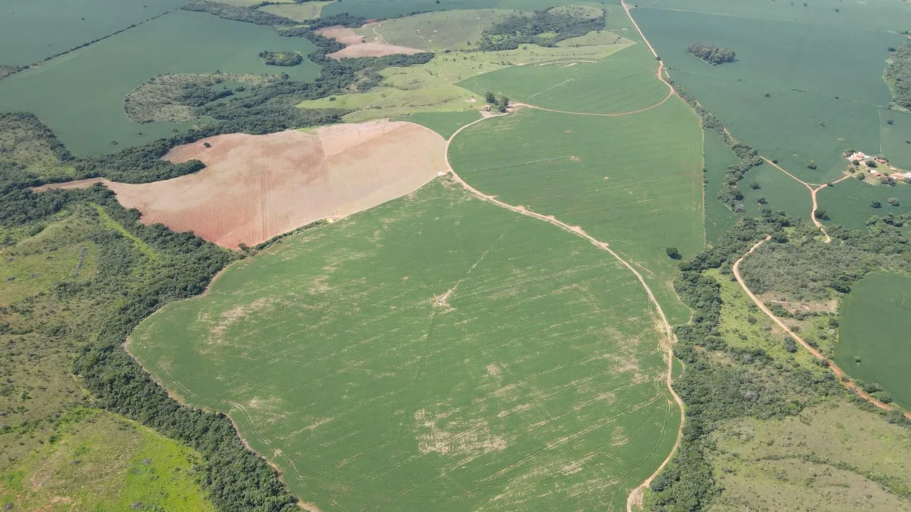 Fazenda Com Pivôs Próximo A Lagamar Dos Coqueiros Em Coromandel/Mg