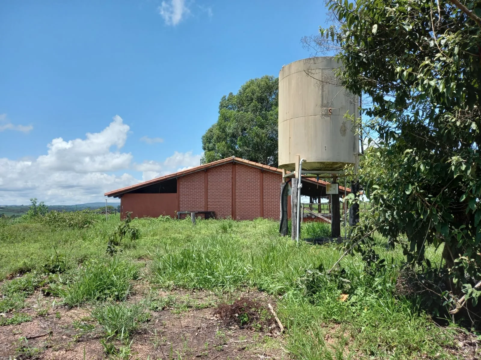 Fazenda Com Pivôs Próximo A Lagamar Dos Coqueiros Em Coromandel/Mg