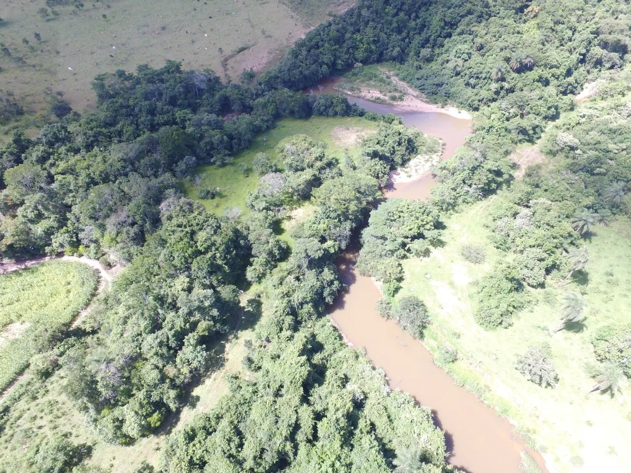 Fazenda Para Gado E Plantio Entre Coromandel E Patrocinio