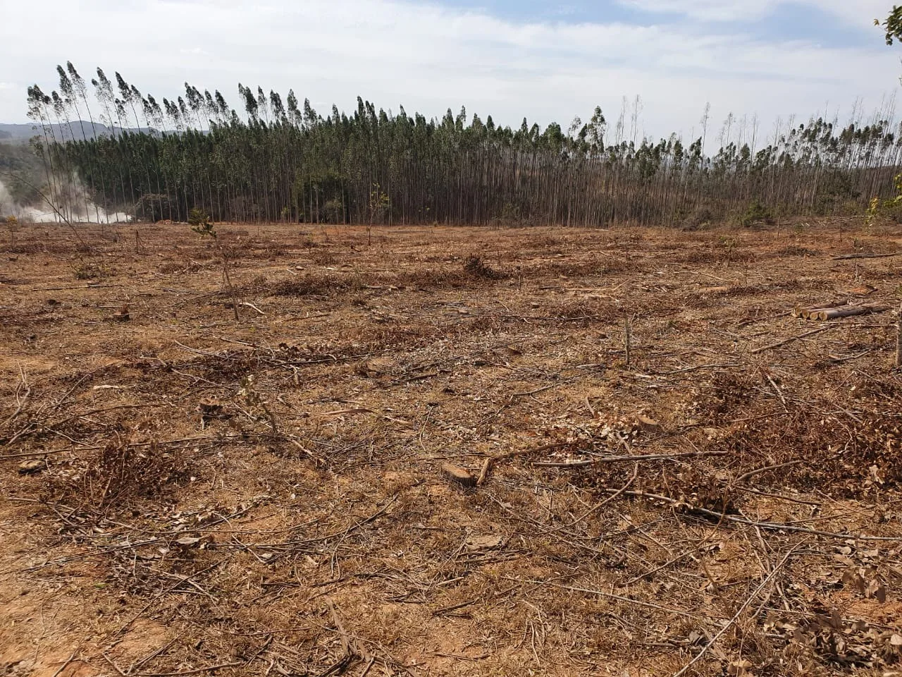 Fazenda Para Gado E Plantio Entre Coromandel E Patrocinio