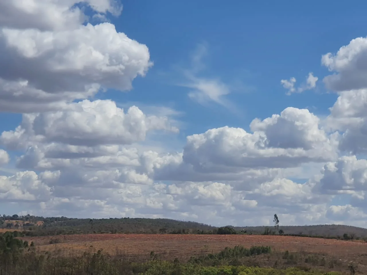 Fazenda Para Gado E Plantio Entre Coromandel E Patrocinio